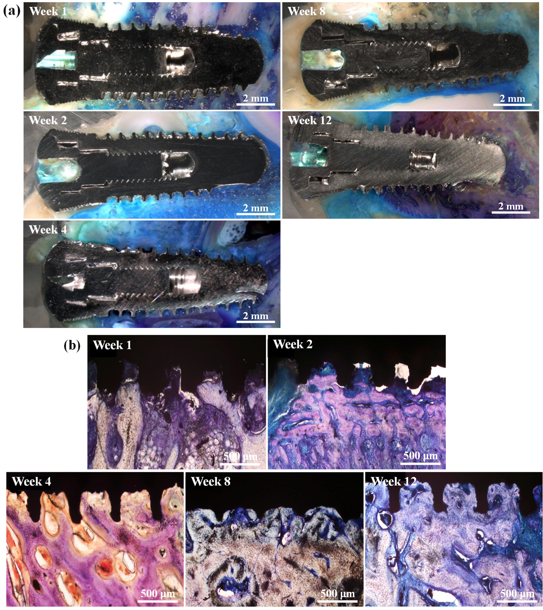 Materials 17 02276 g005