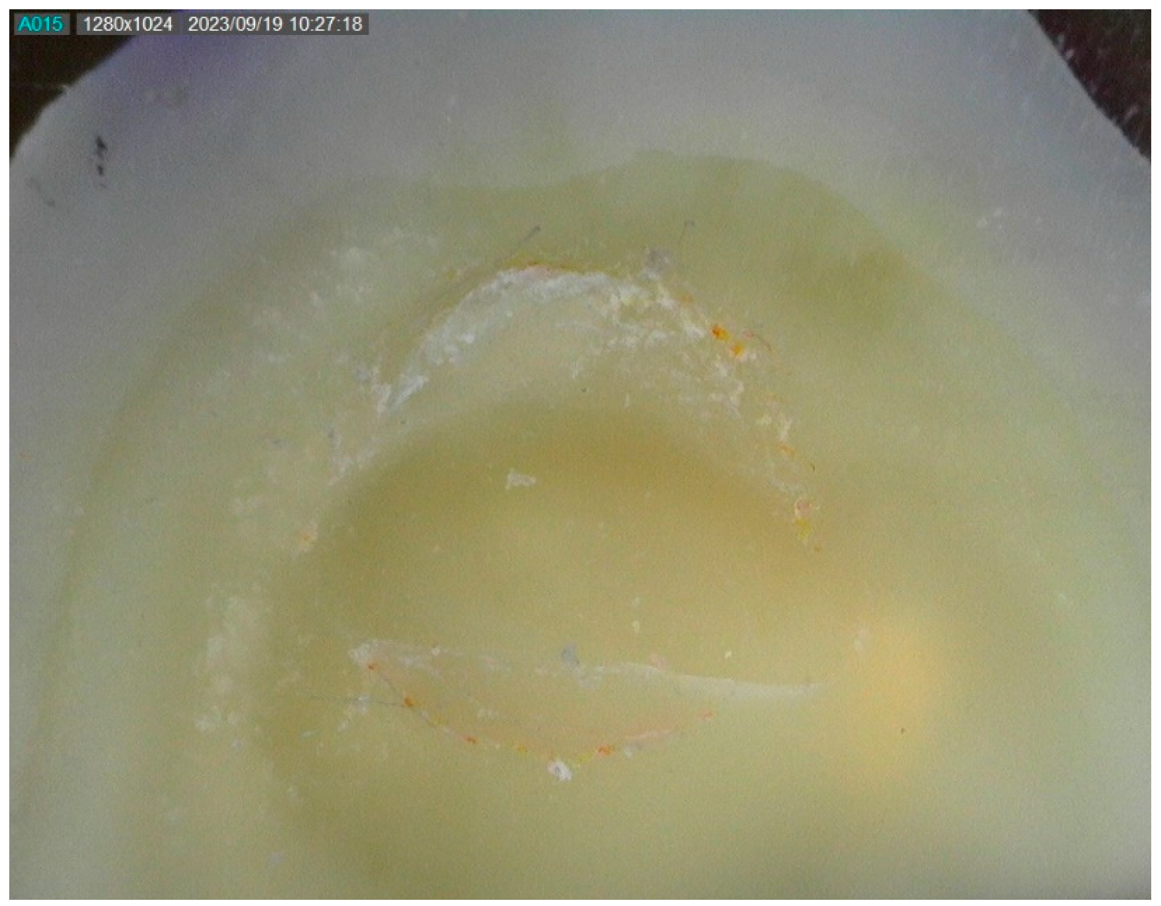 Materials 17 02297 g003