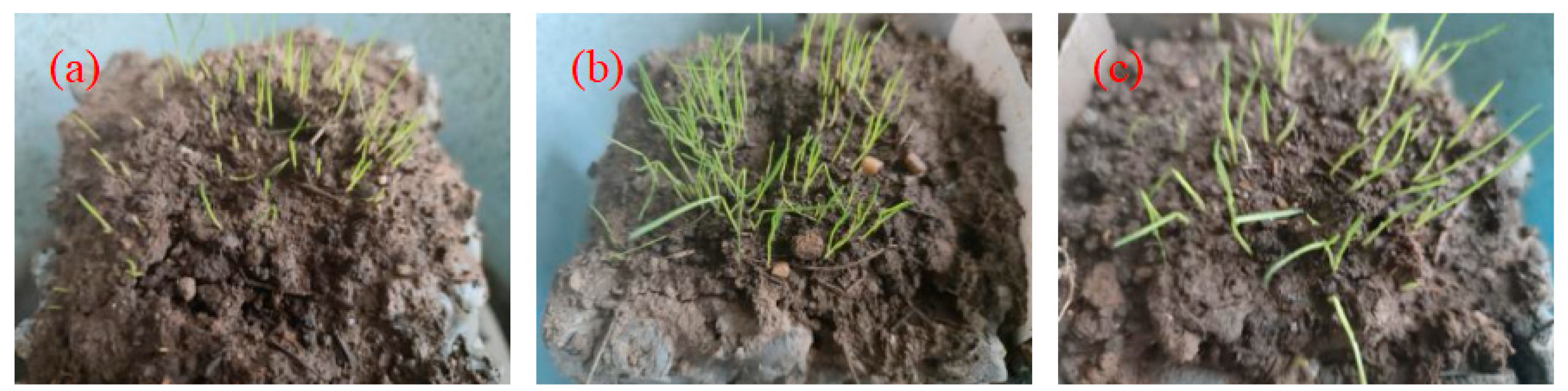 Materials 17 02301 g014