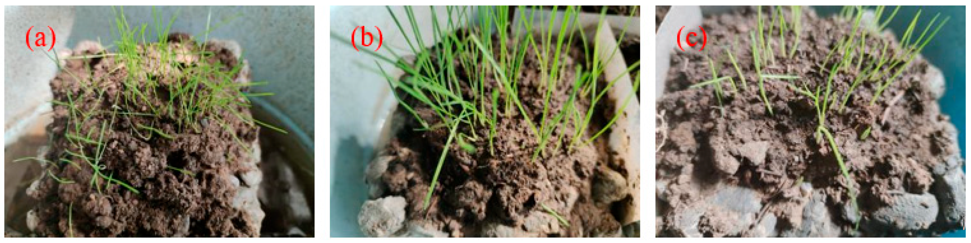 Materials 17 02301 g015