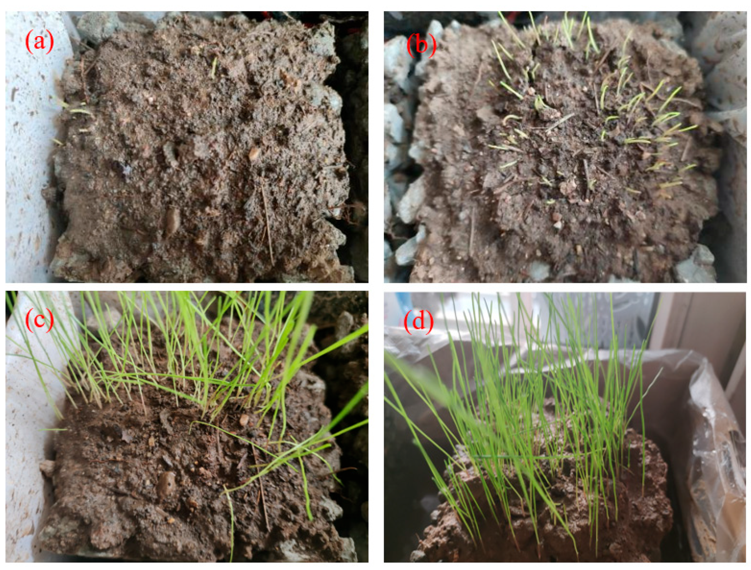 Materials 17 02301 g016