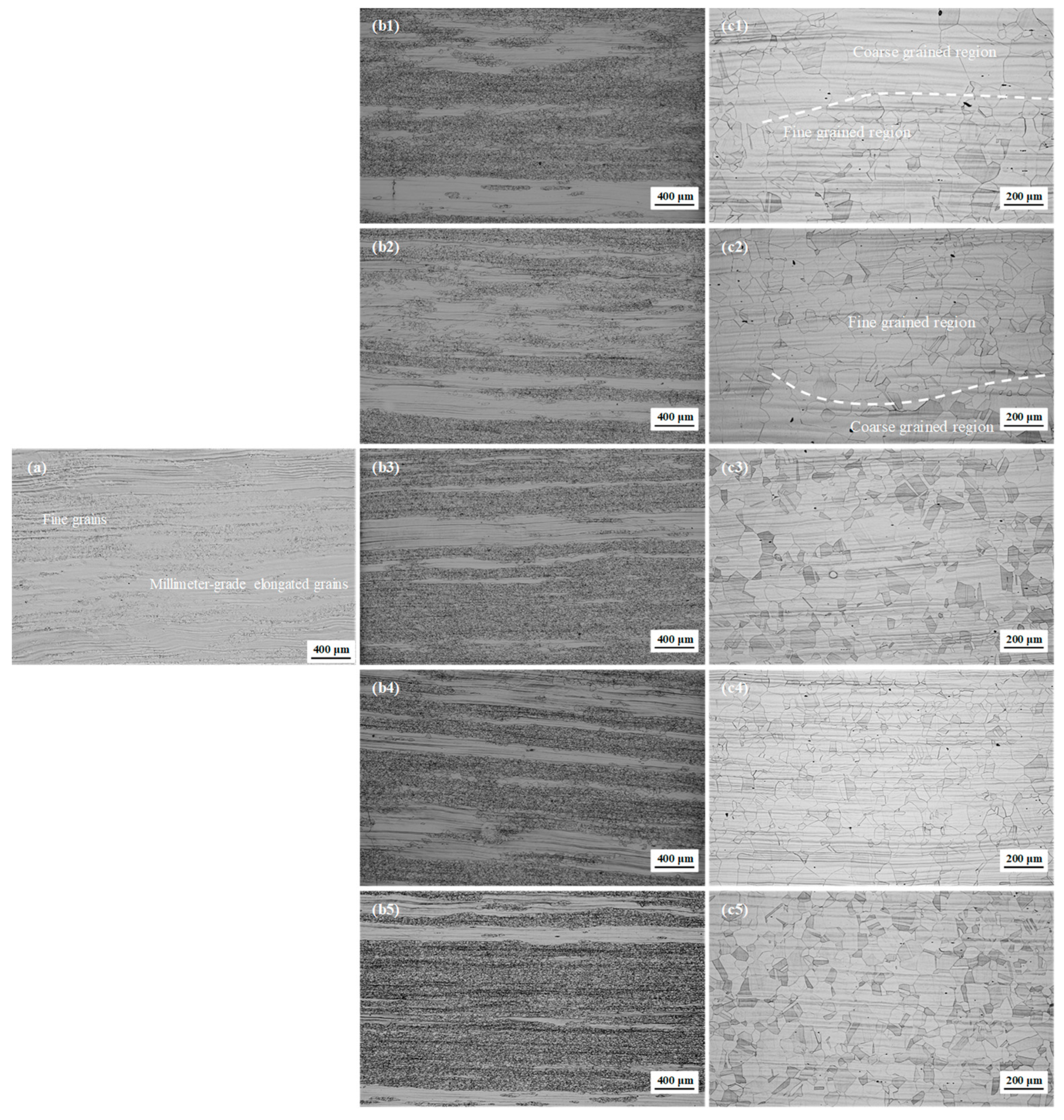 Materials 17 02313 g001