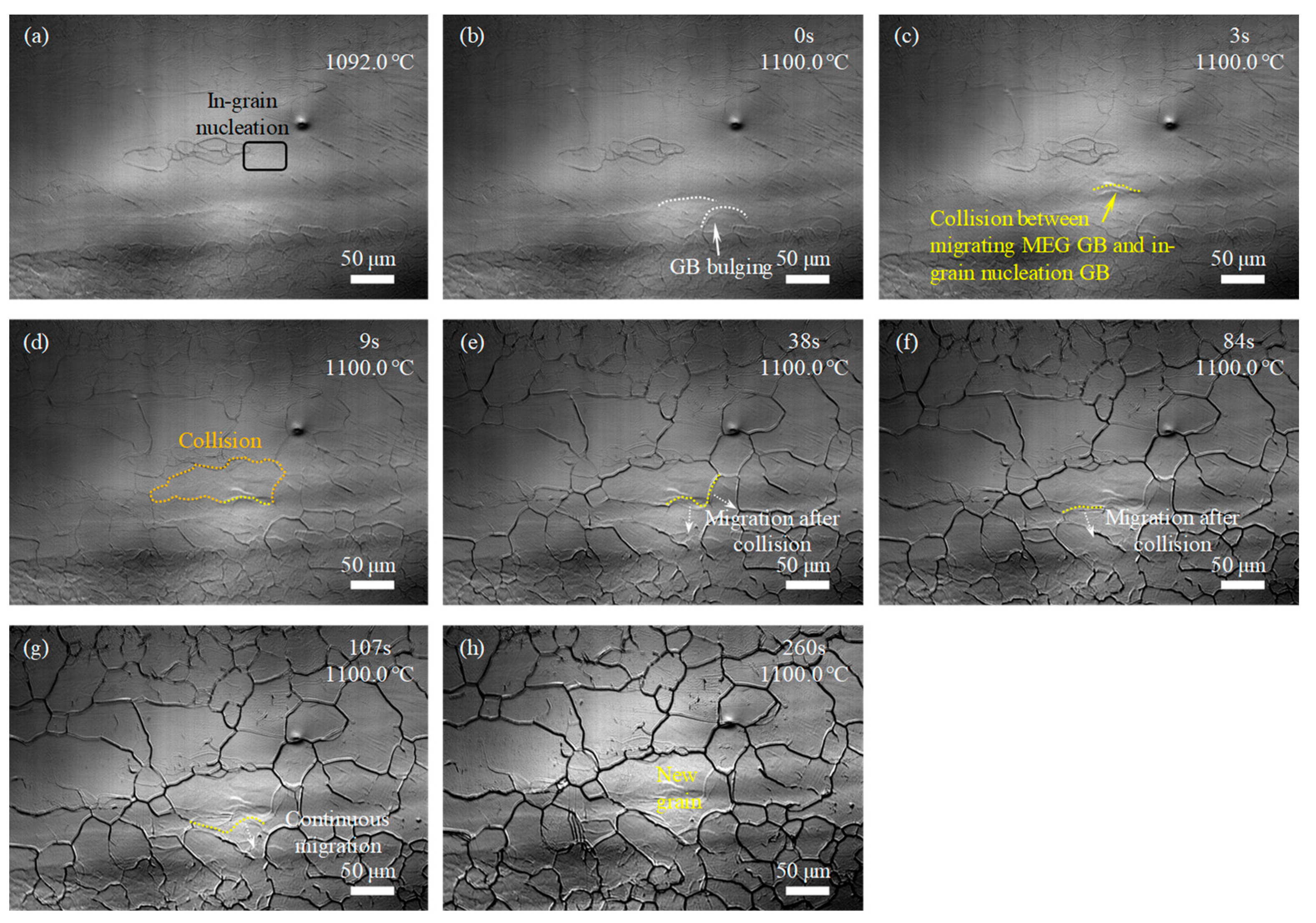 Materials 17 02313 g007