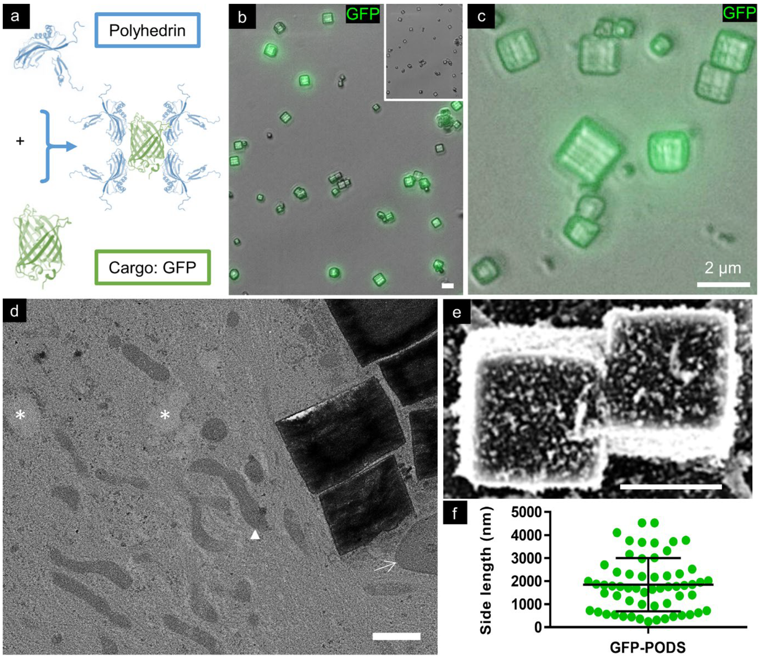Materials 17 02330 g001
