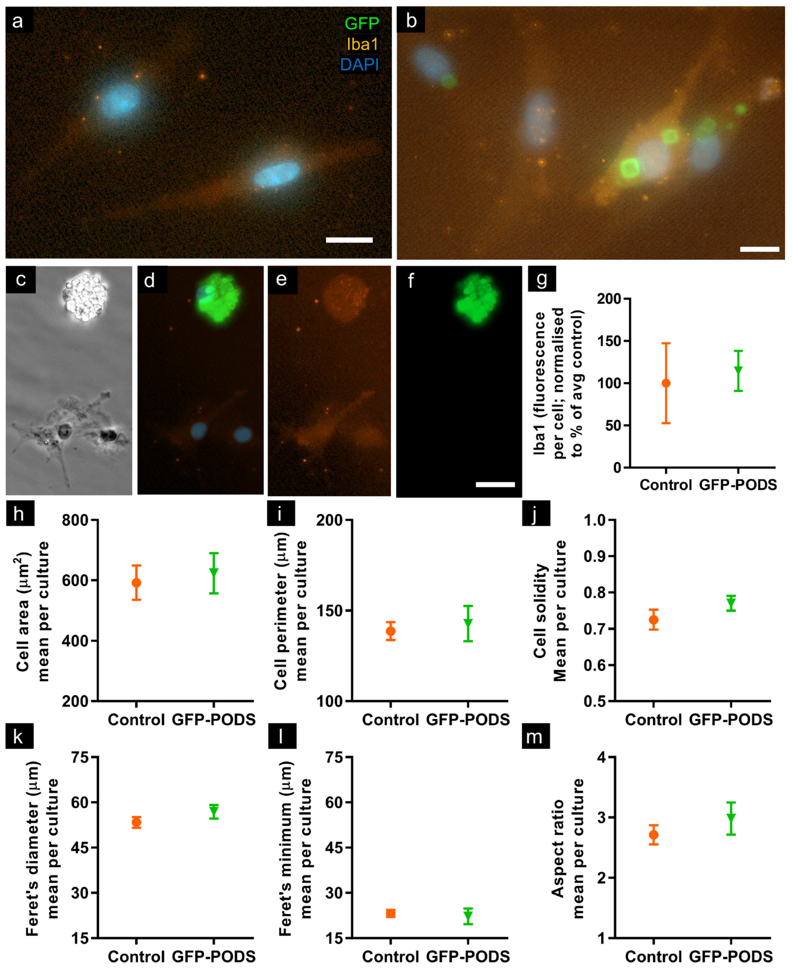 Materials 17 02330 g003