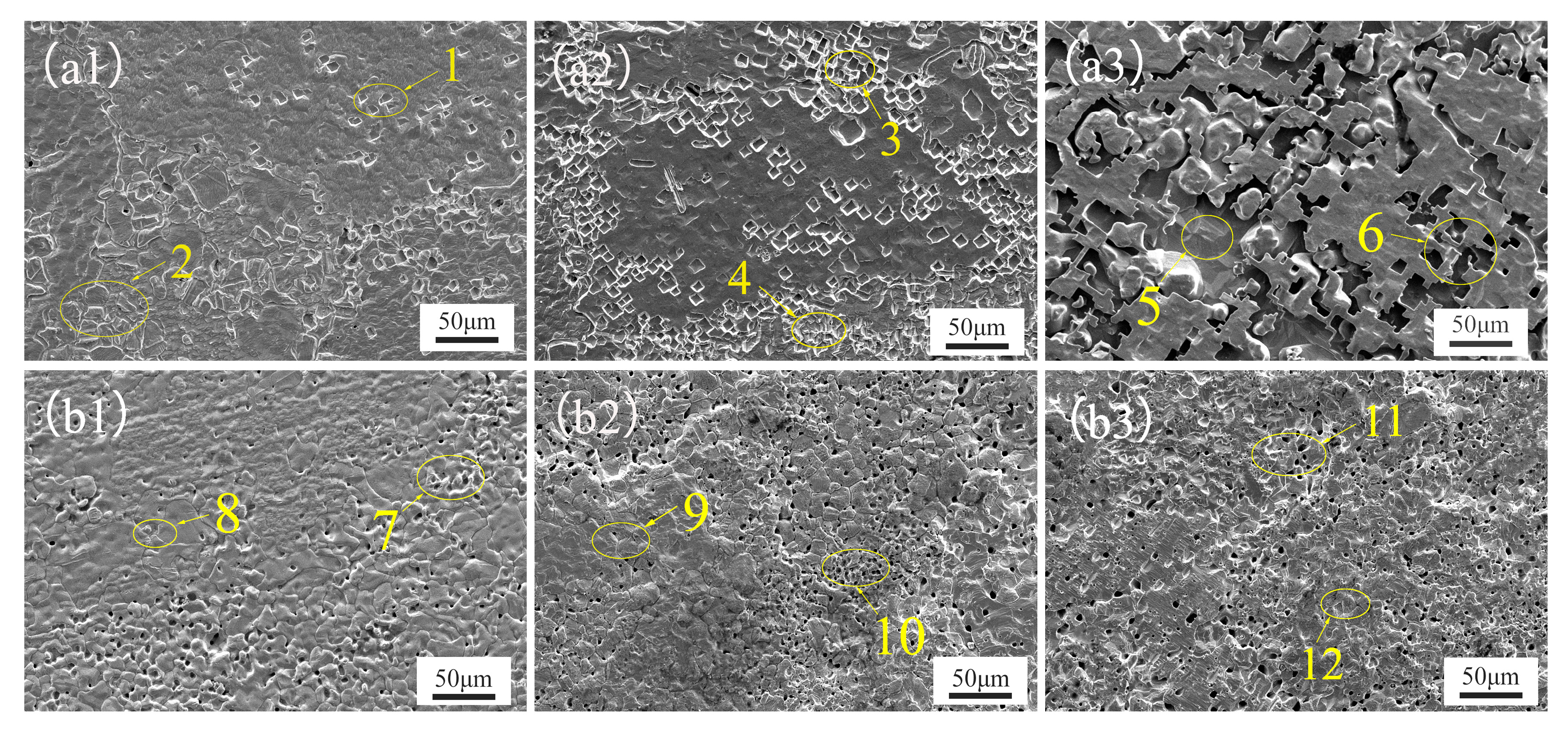 Materials 17 02335 g004