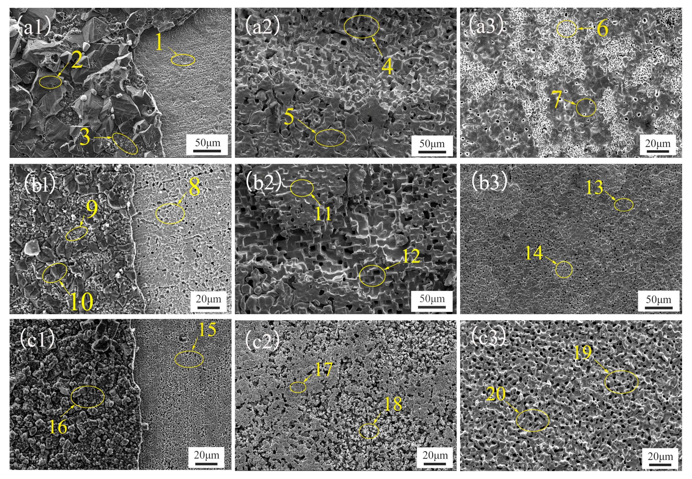 Materials 17 02335 g005