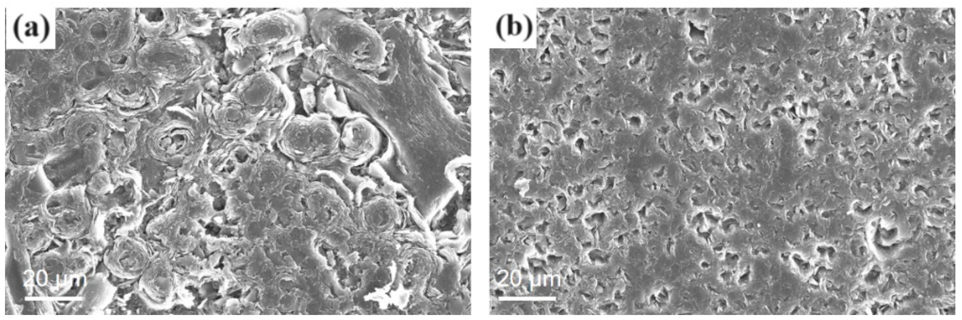 Materials 17 02344 g003