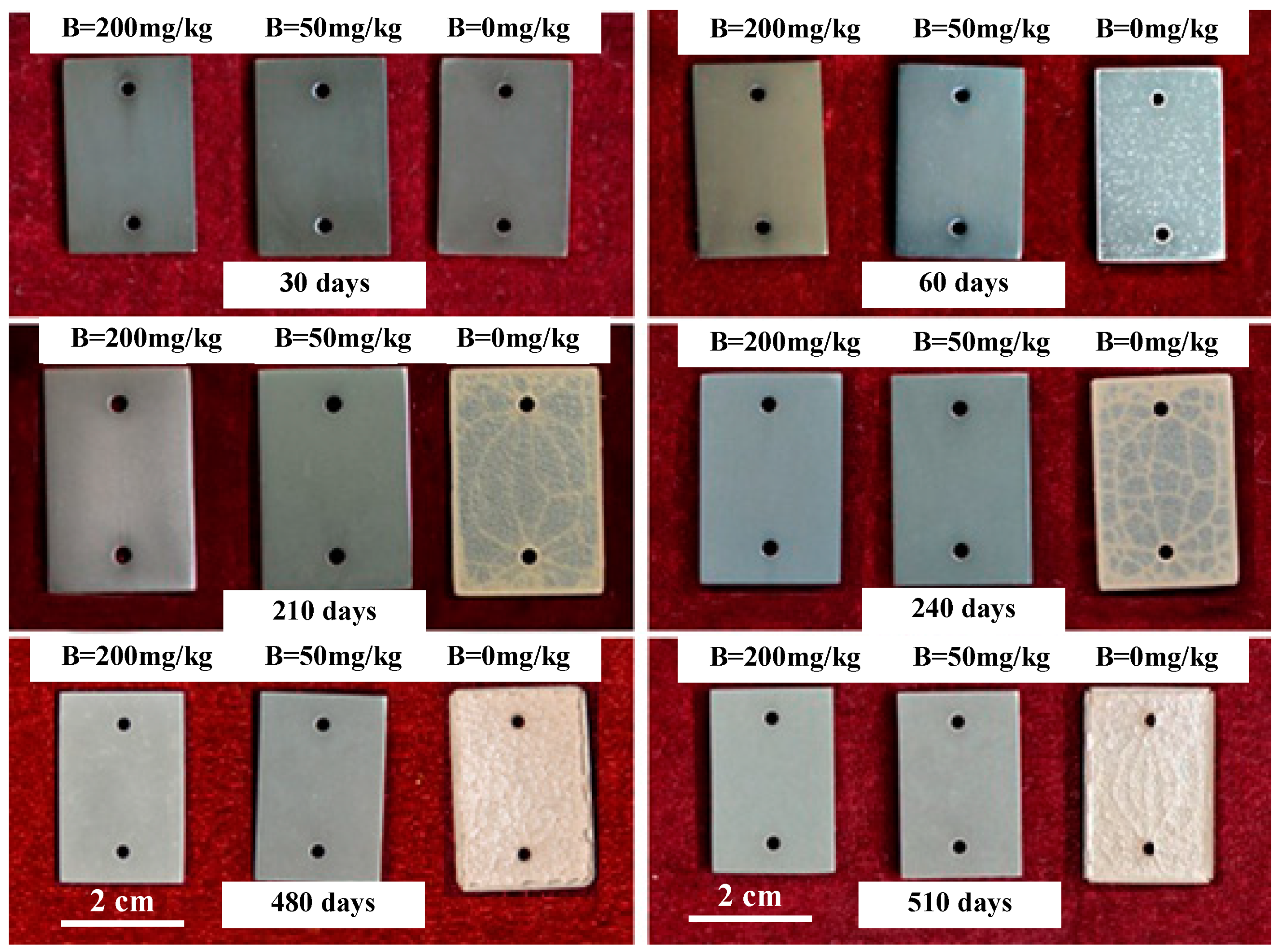 Materials 17 02373 g002