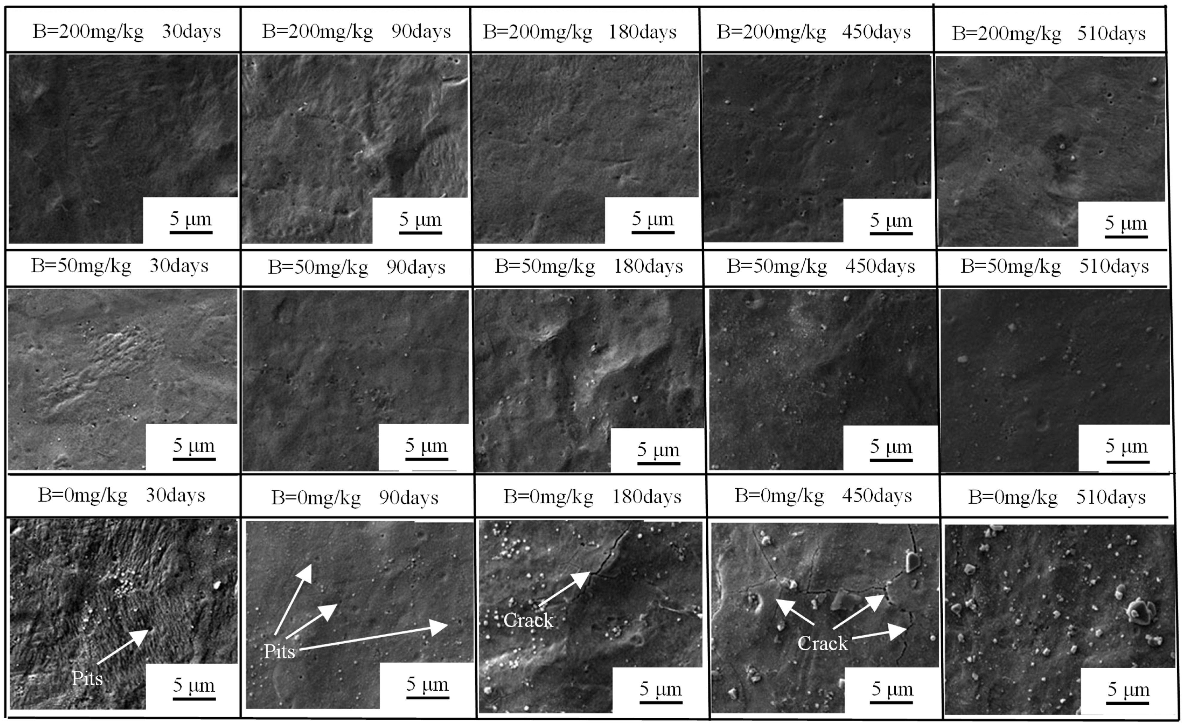 Materials 17 02373 g003