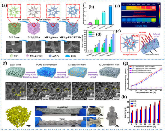 3D-Networks Based Polymer Composites for Multifunctional
