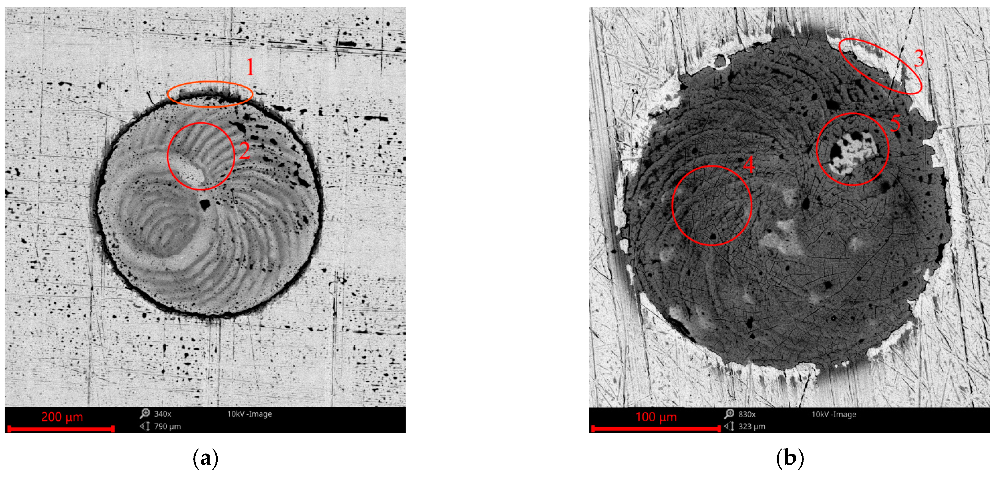 Materials 17 02401 g015