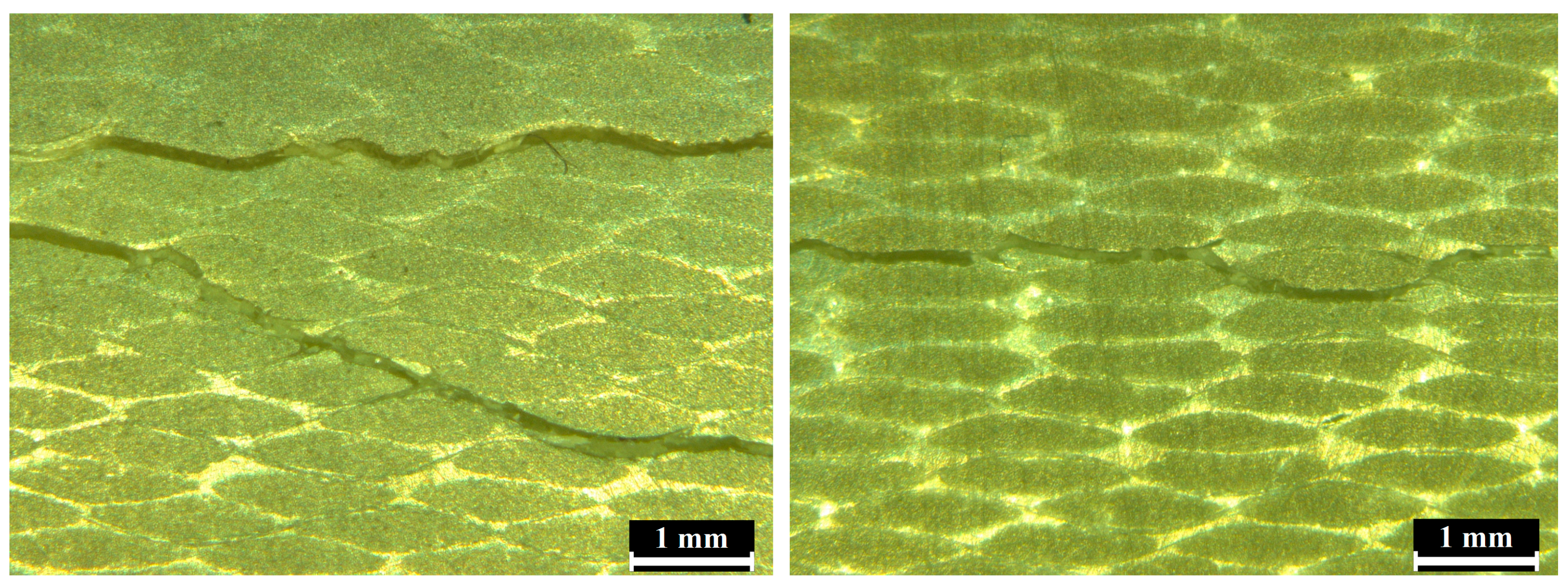 Materials 17 02402 g013