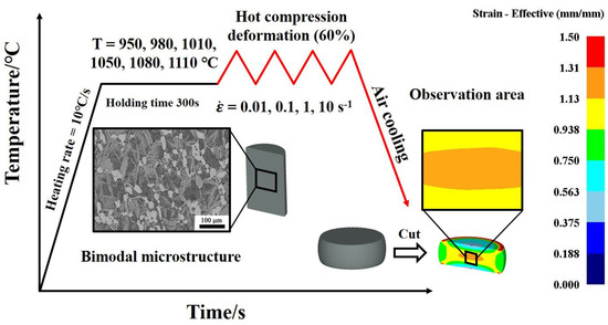 Constitutive Model and Microstructure Evolution of Ti65