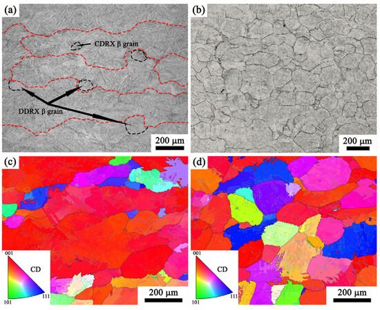 Constitutive Model and Microstructure Evolution of Ti65