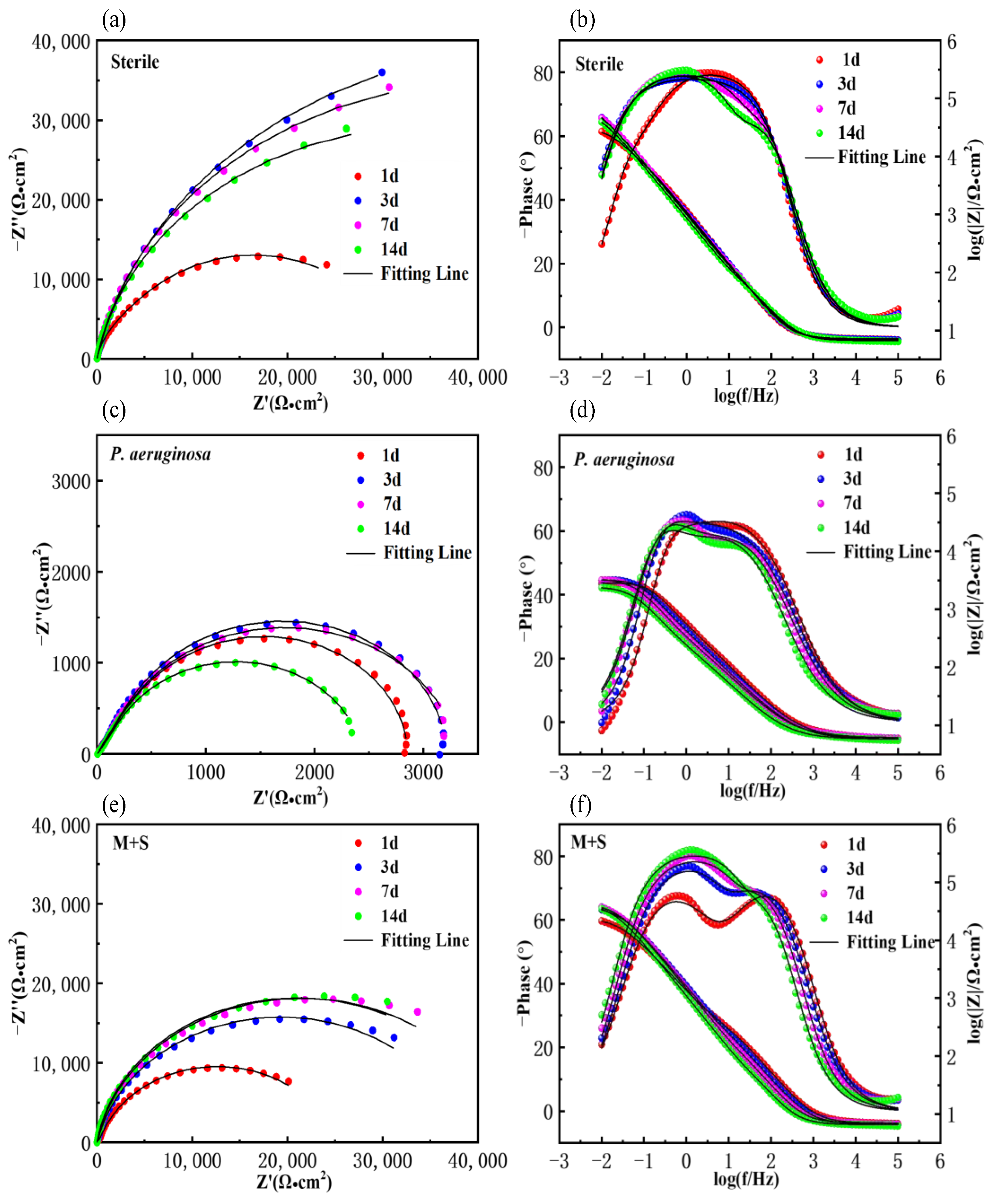 Materials 17 02428 g004