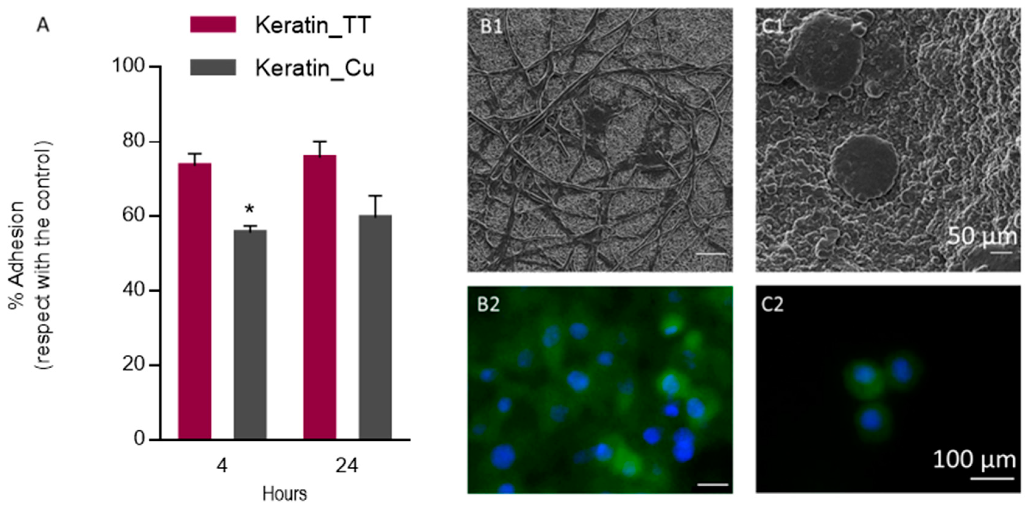 Materials 17 02435 g007