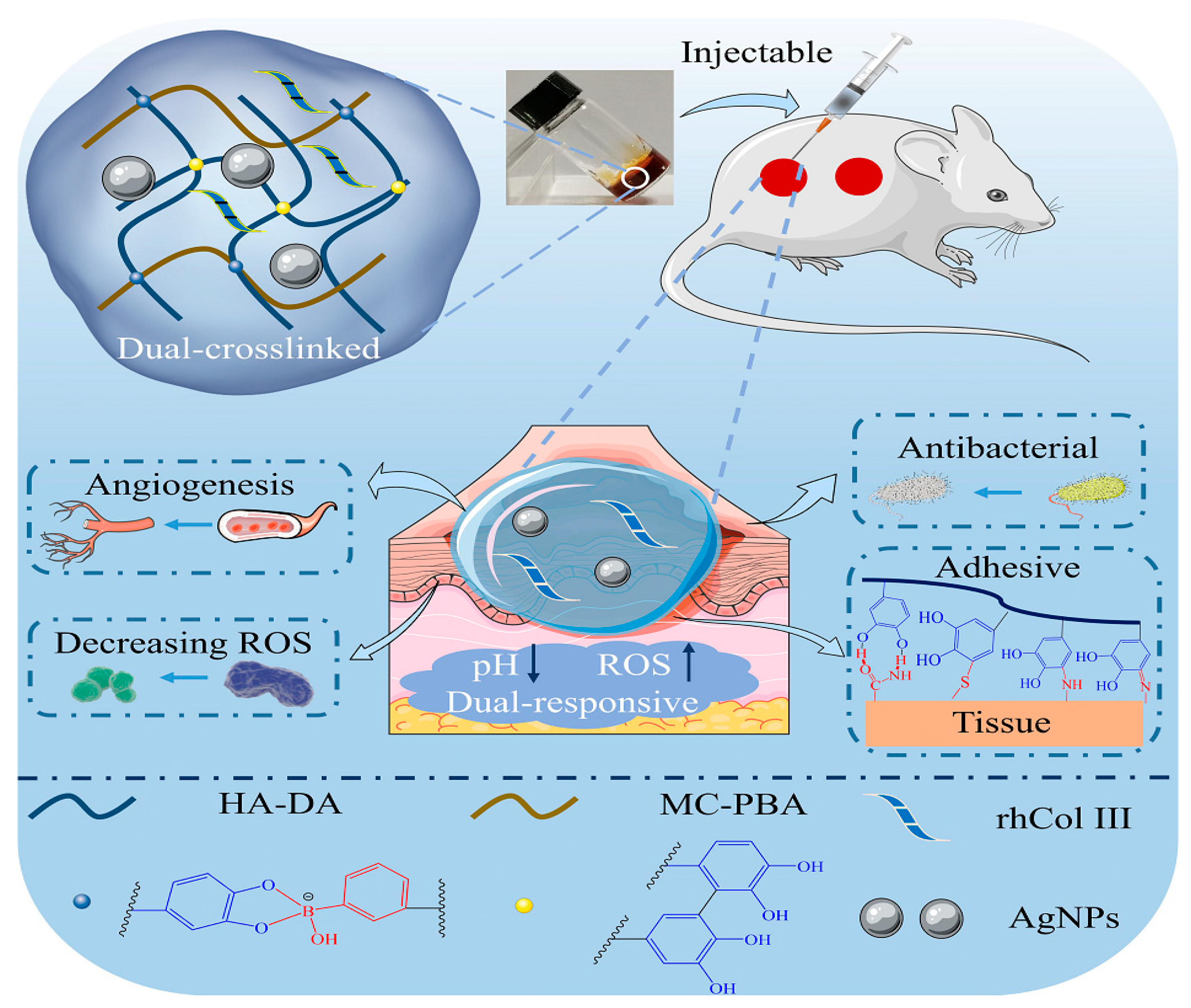 Materials 17 02439 g020