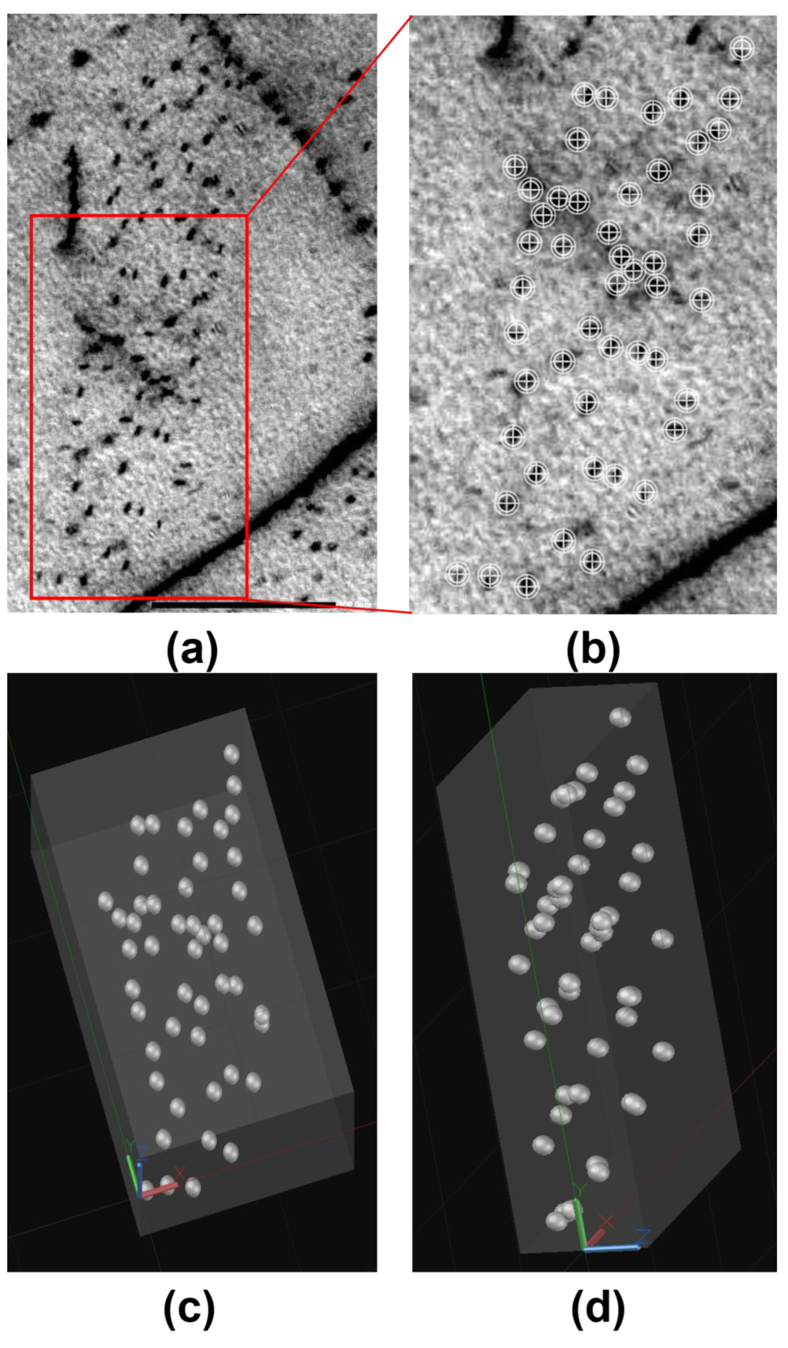 Materials 17 02440 g008