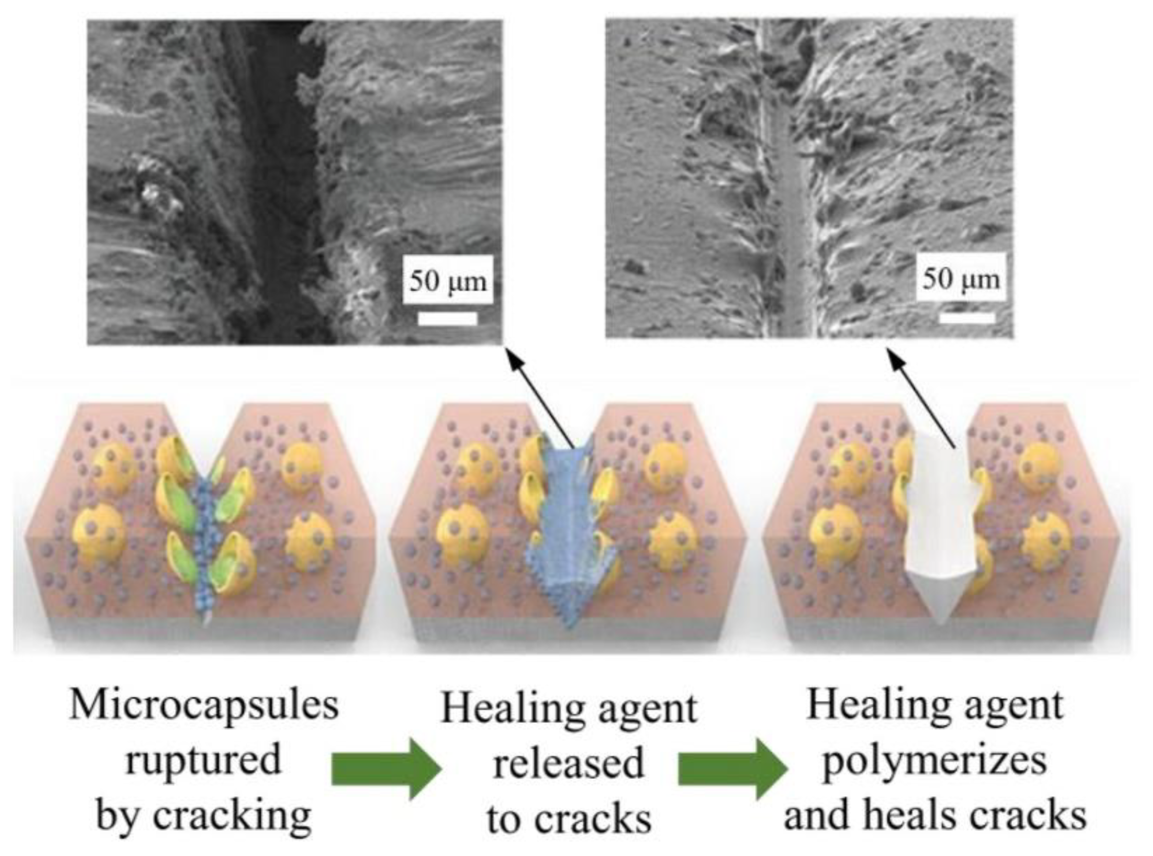 Materials 17 02464 g003