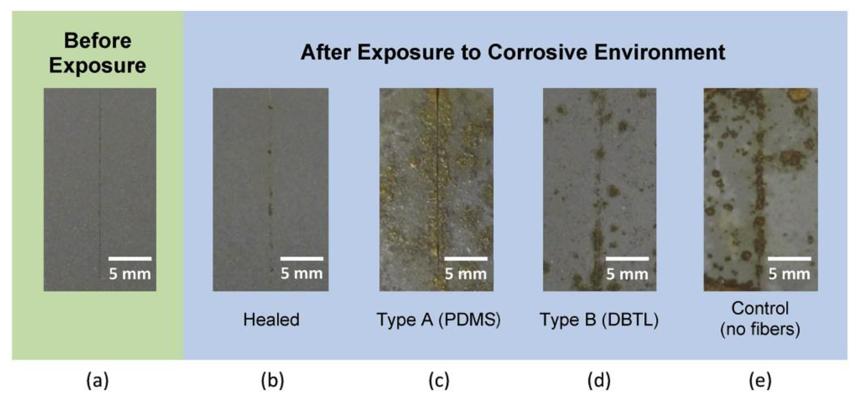 Materials 17 02464 g005