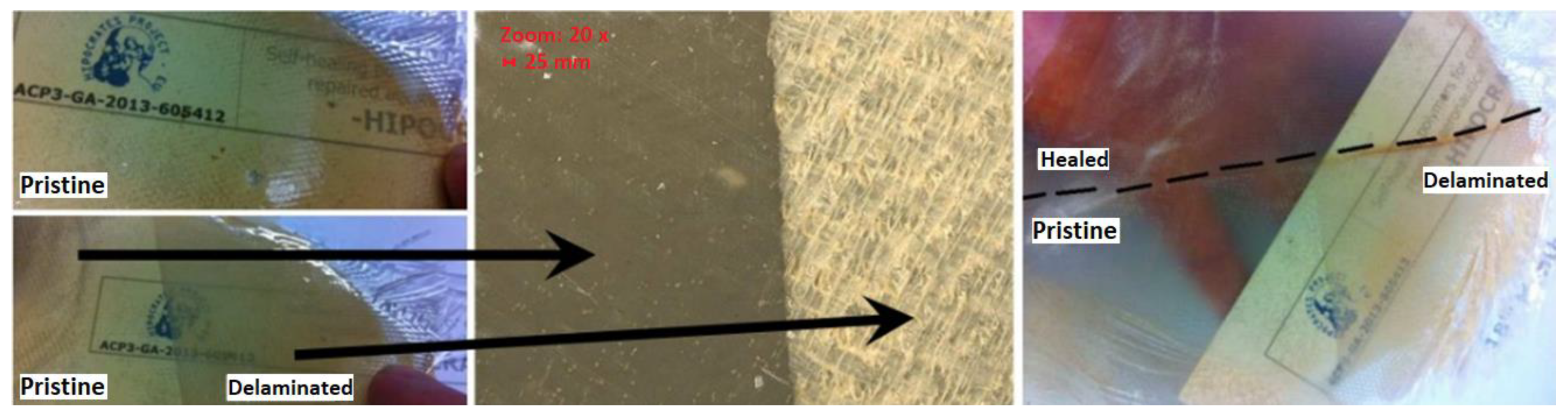 Materials 17 02464 g008