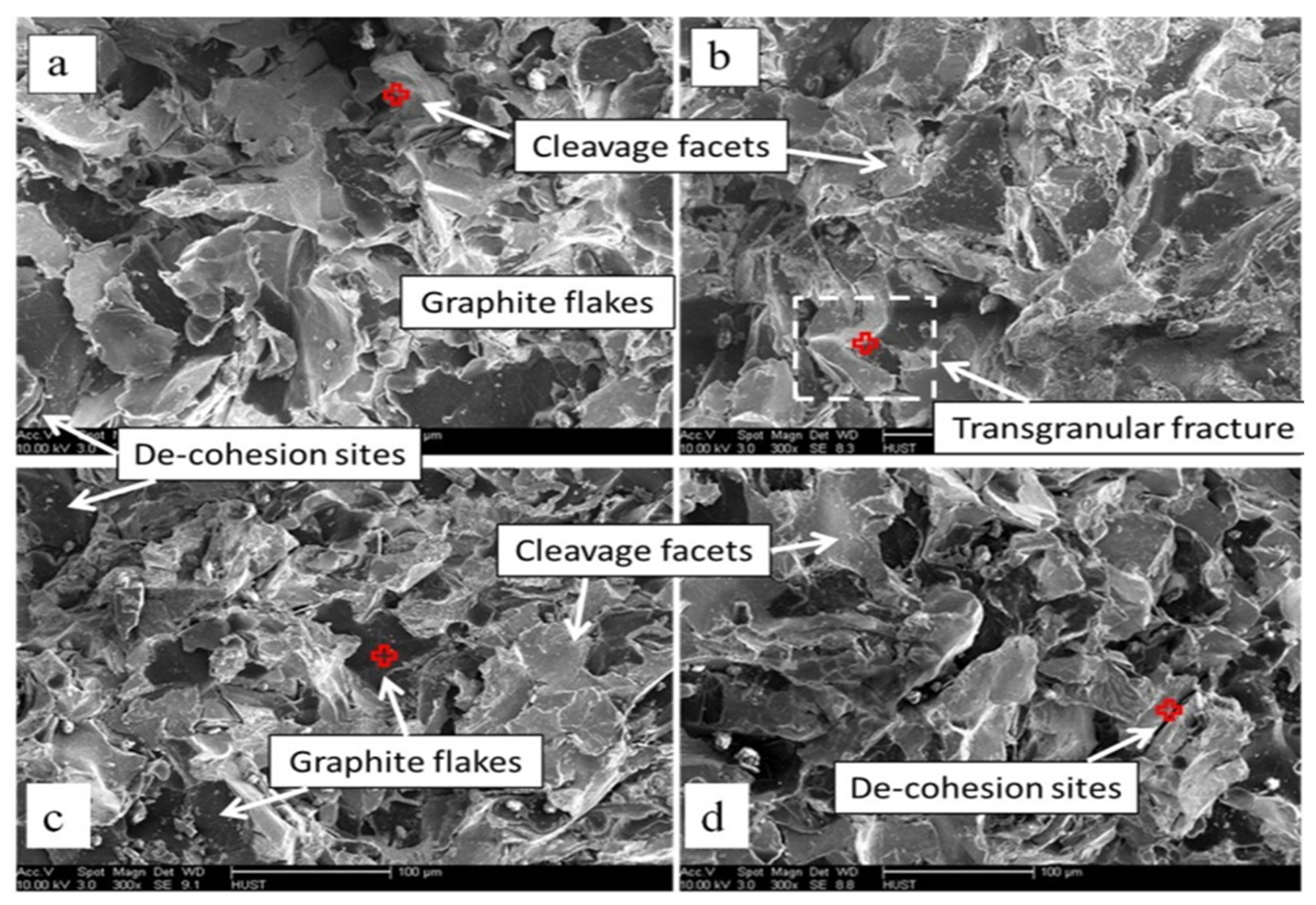 Materials 17 02468 g007