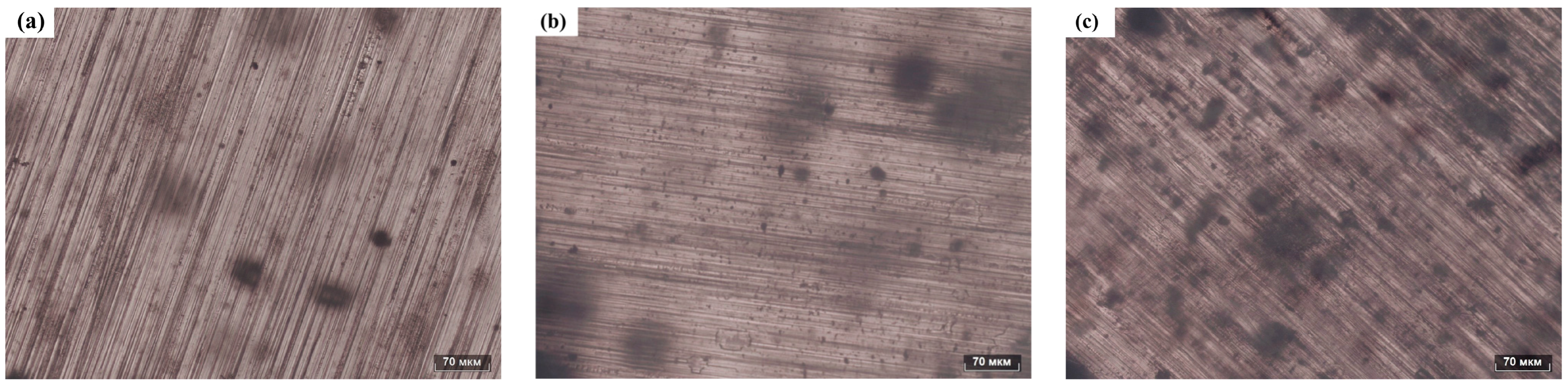 Materials 17 02470 g010