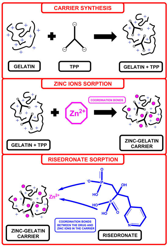 Materials Free FullText GelatinZinc Carrier as a New Method of