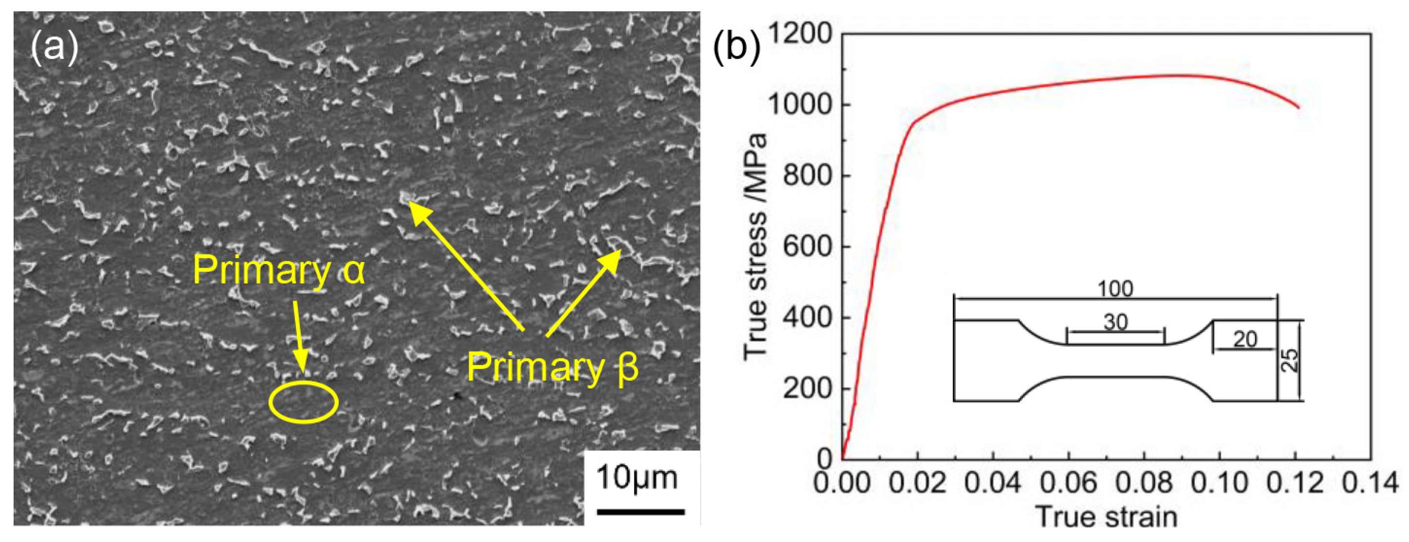 ｊｊ　※ Hot Deformation Behavior and Microstructure Evolution