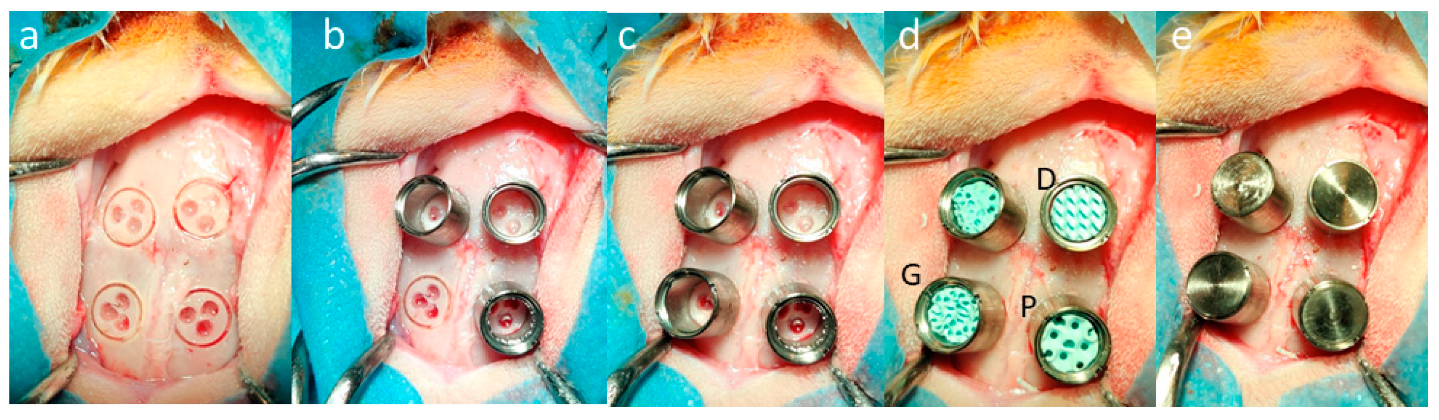 Materials 17 02533 g003