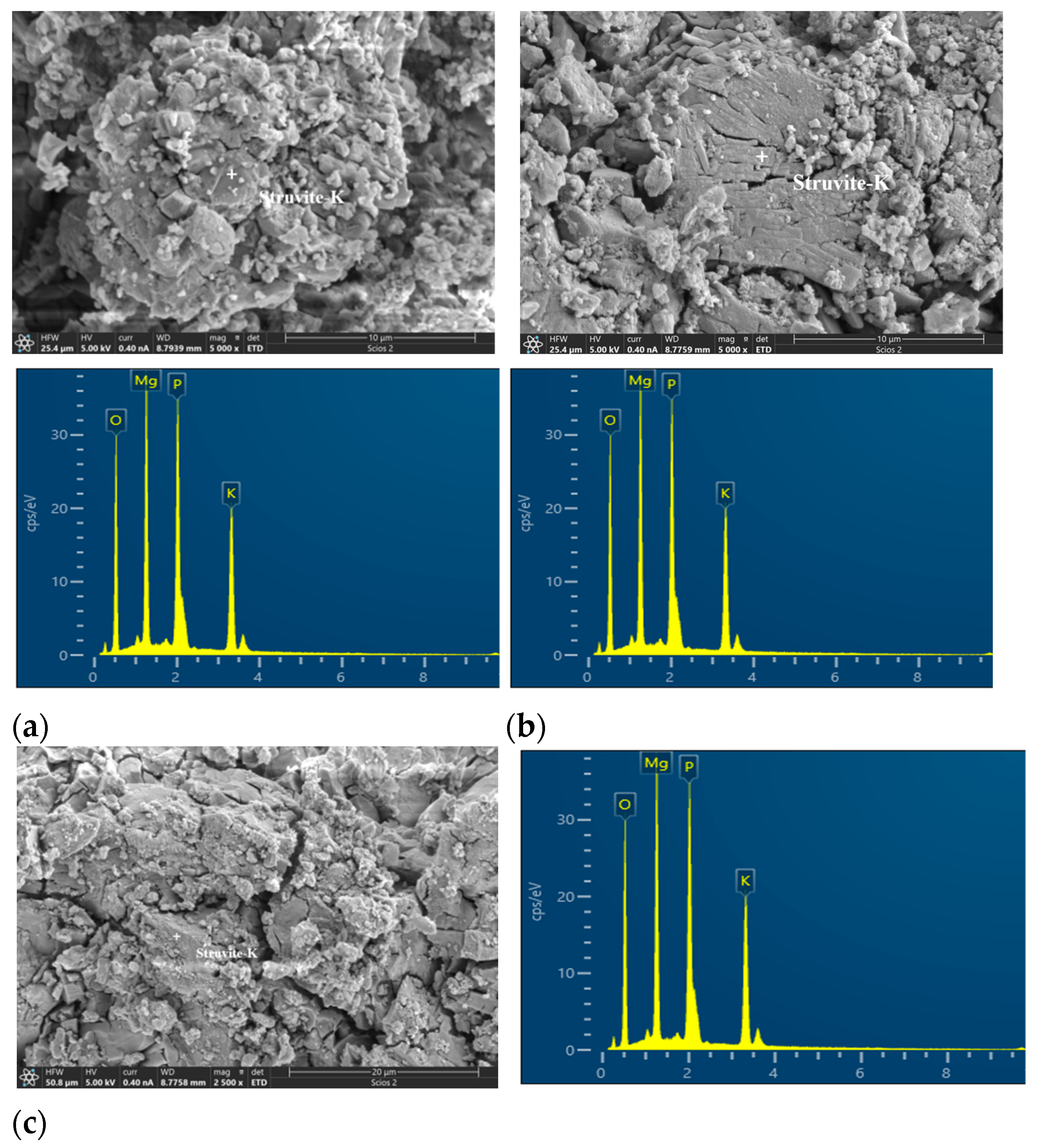 Materials 17 02556 g007