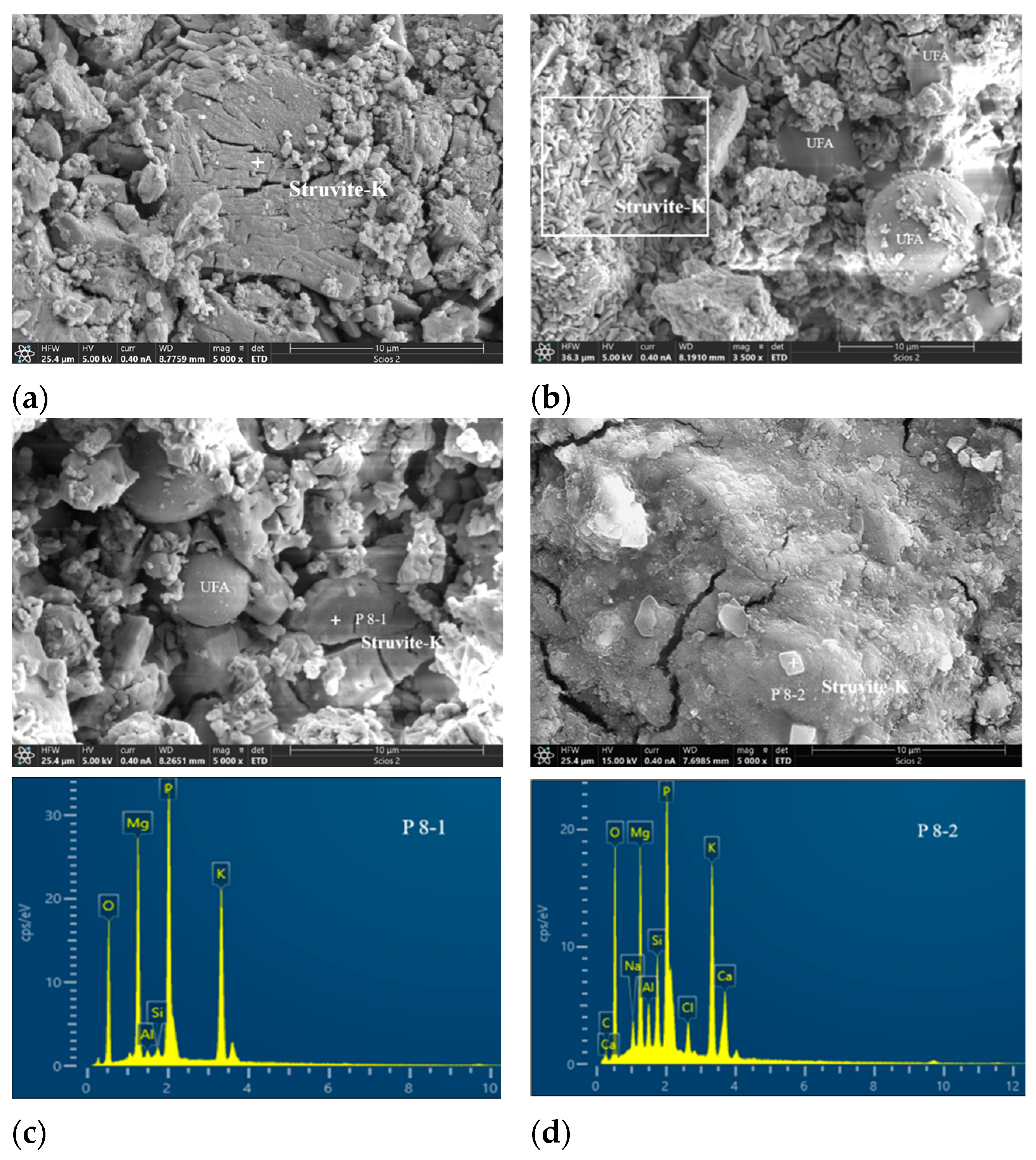 Materials 17 02556 g008