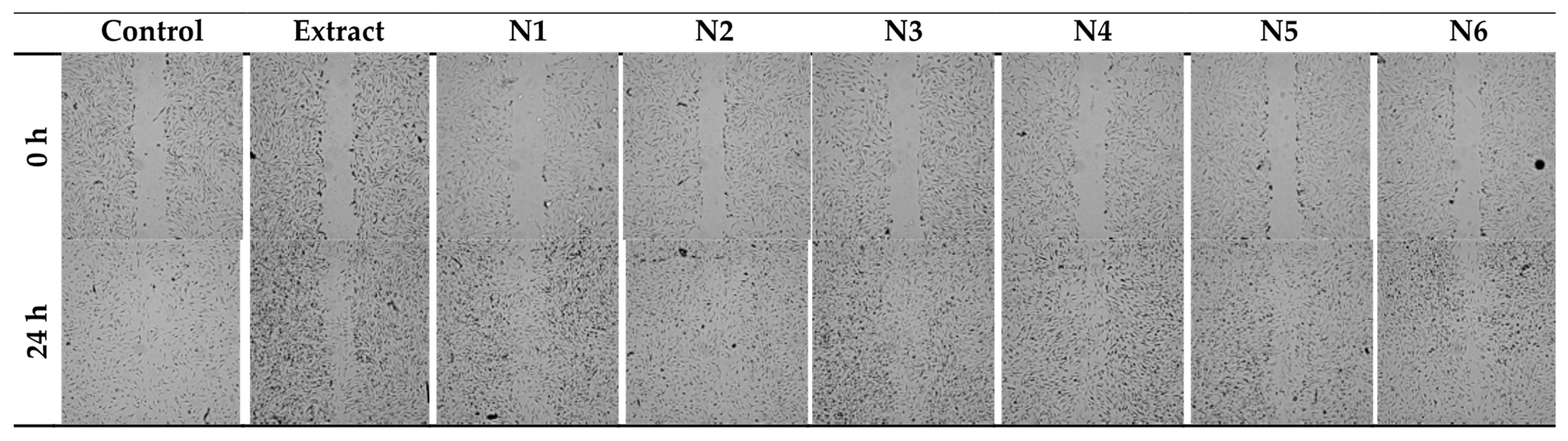 Materials 17 02558 g007