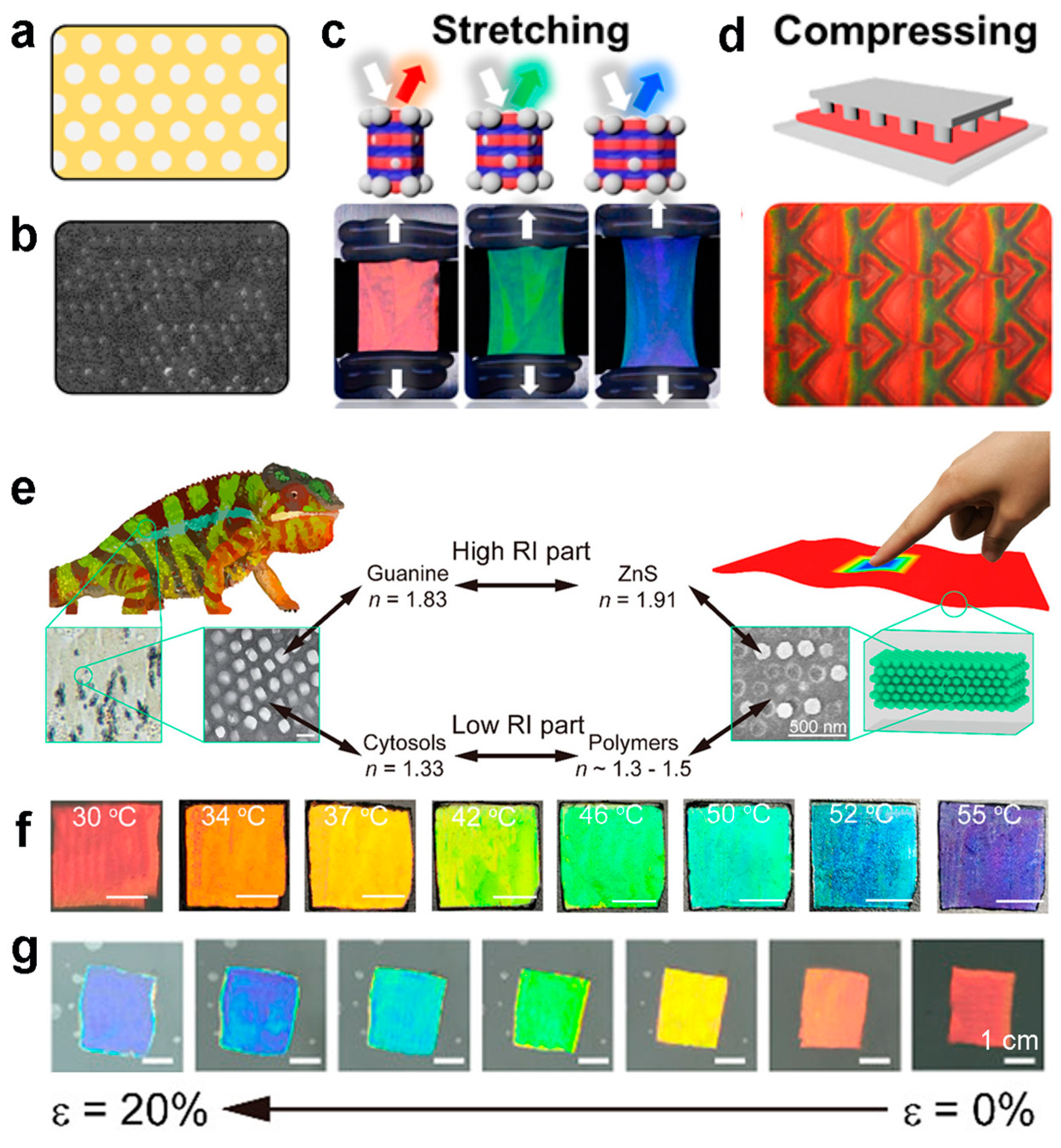 Materials 17 02564 g003