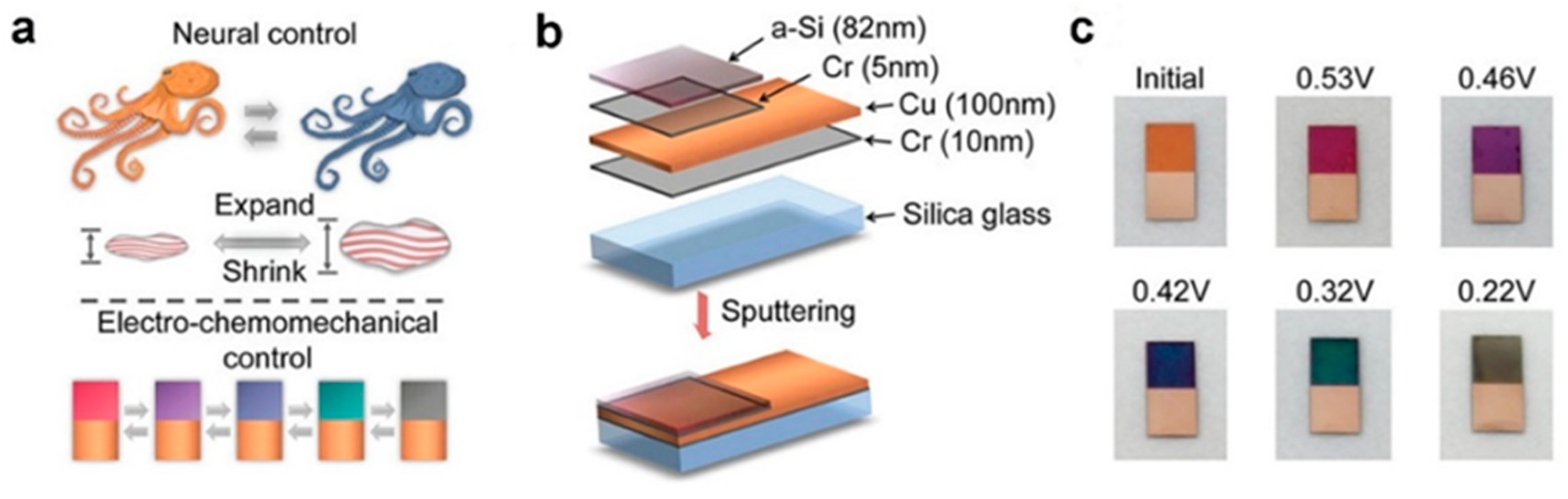 Materials 17 02564 g007