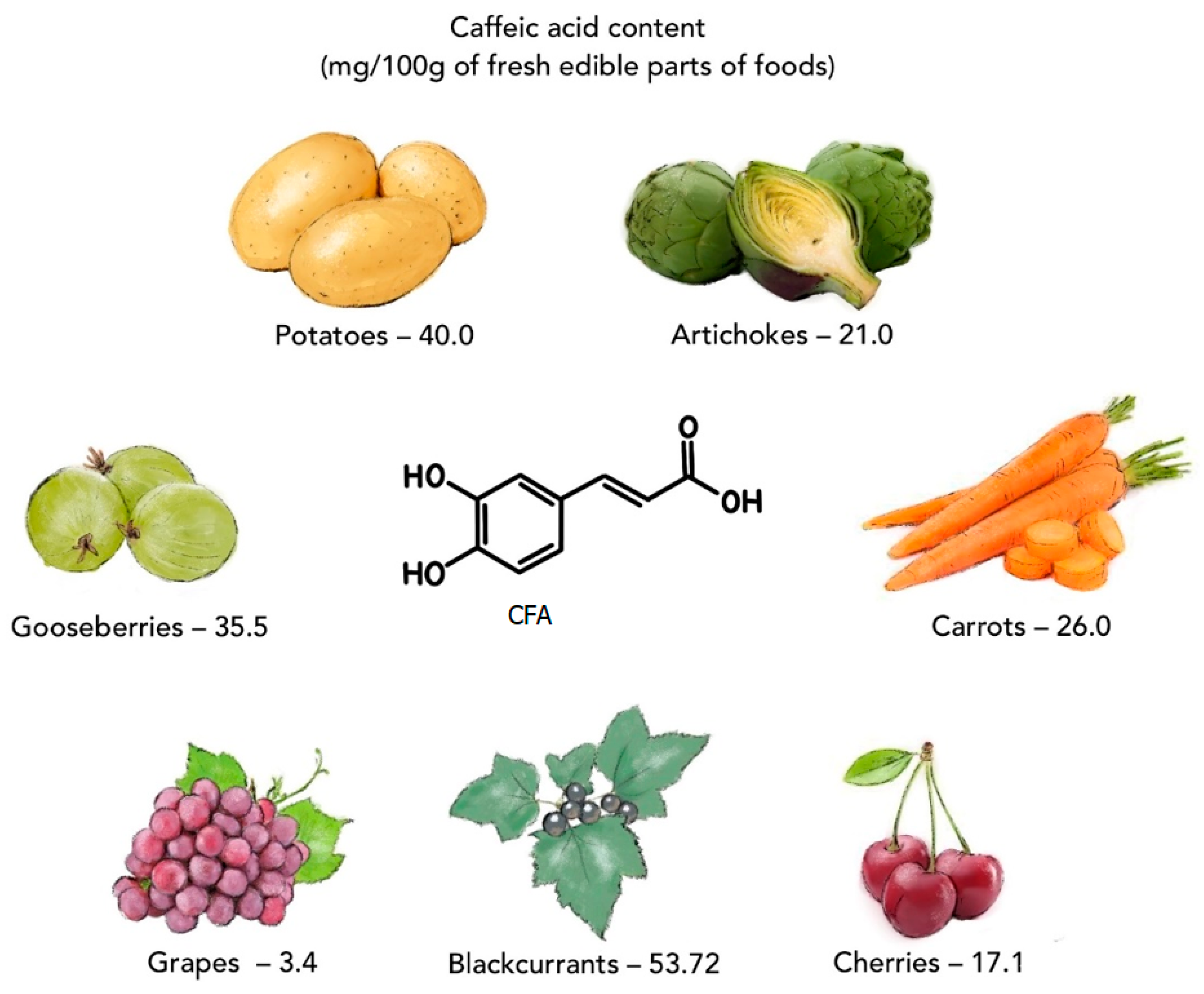 Materials 17 02575 g001