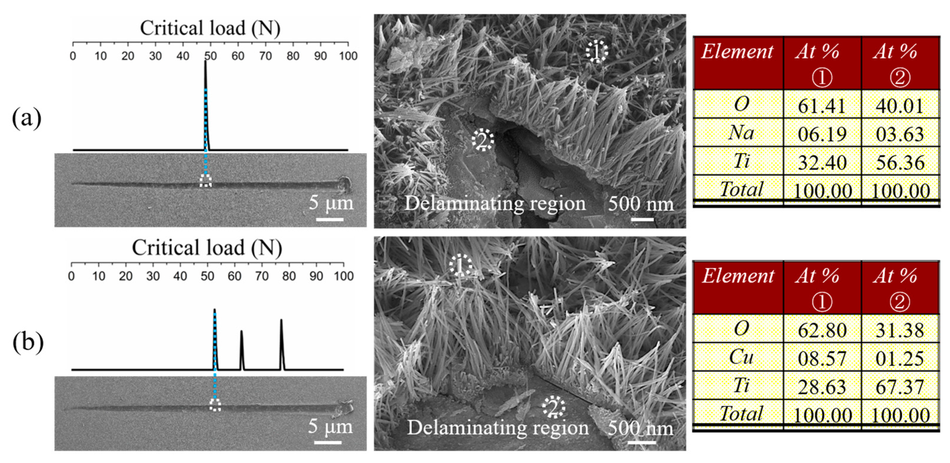 Materials 17 02584 g006