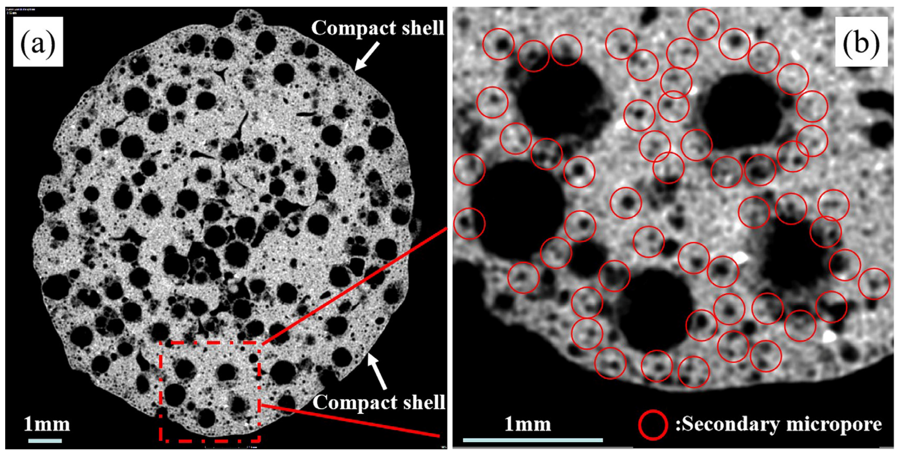 Materials 17 02613 g007