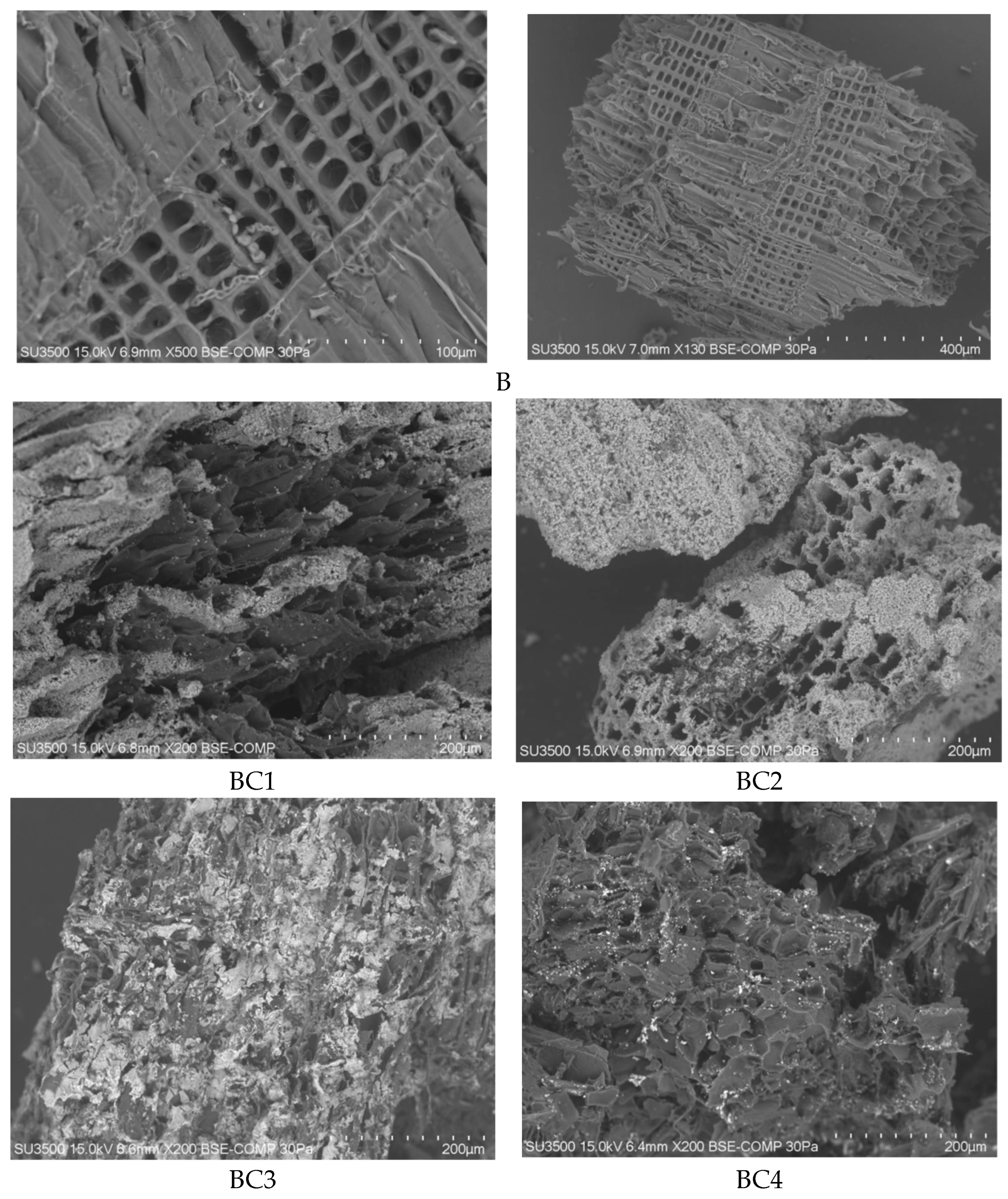 Materials 17 02646 g002