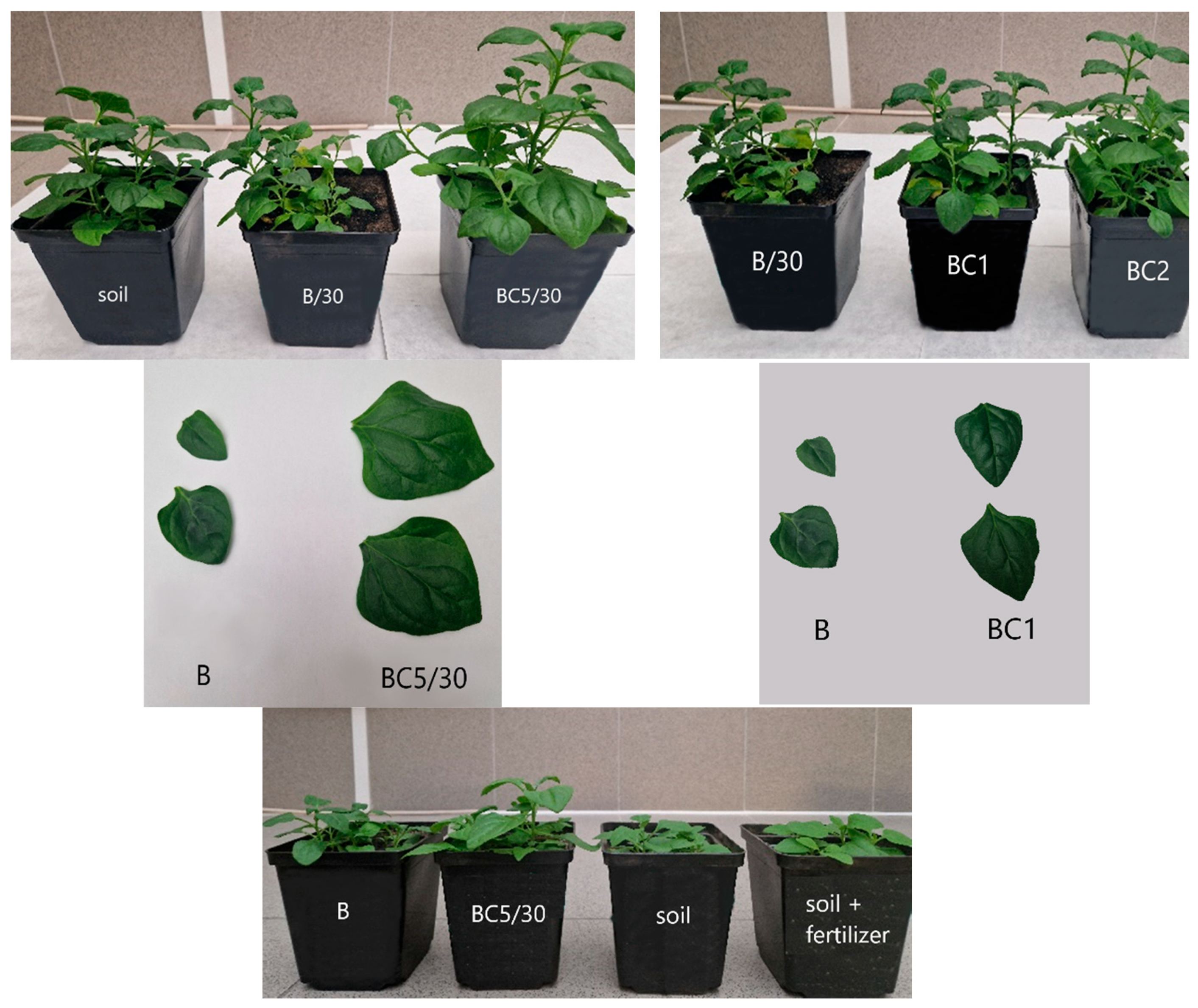 Materials 17 02646 g012