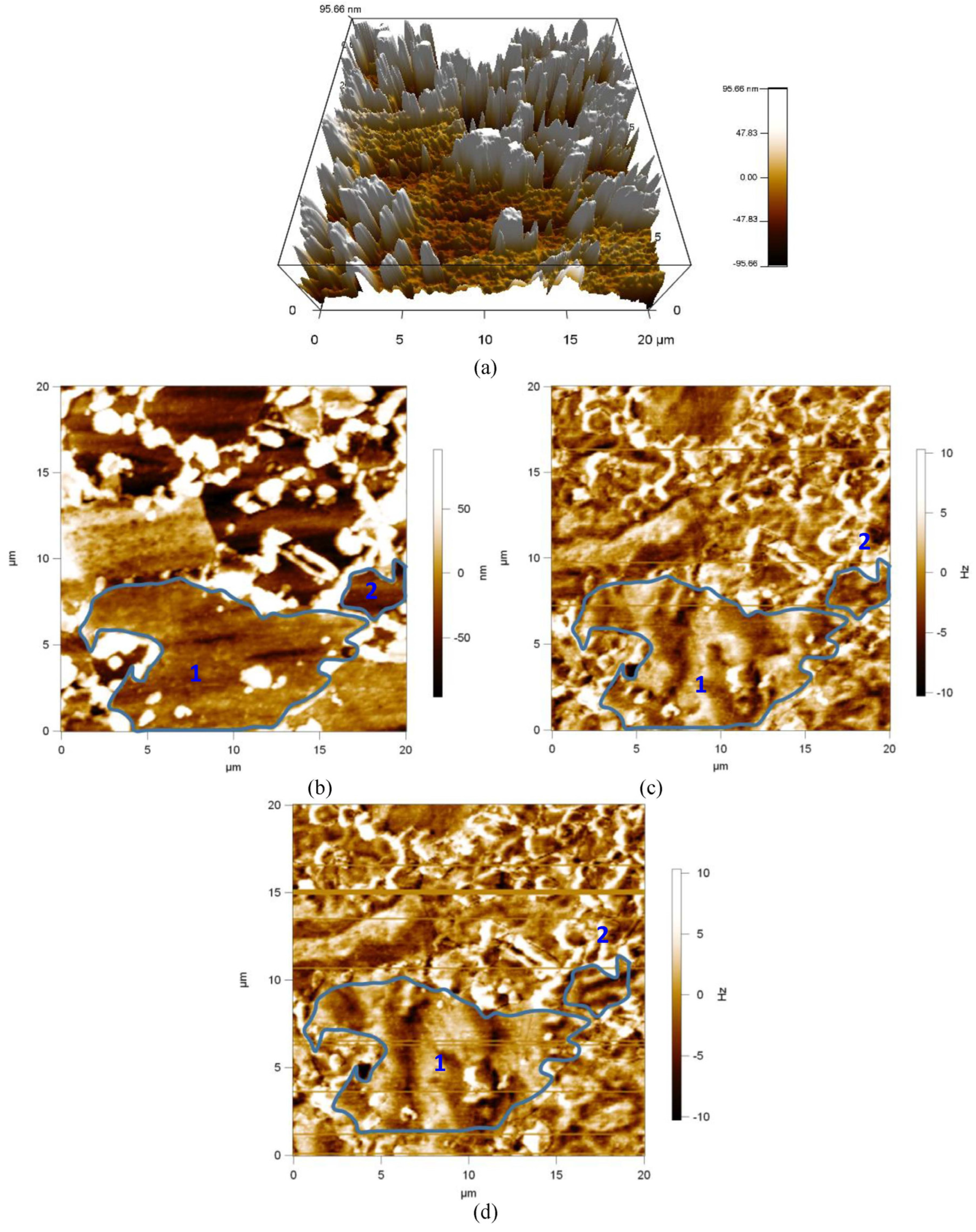 Materials 17 02657 g011