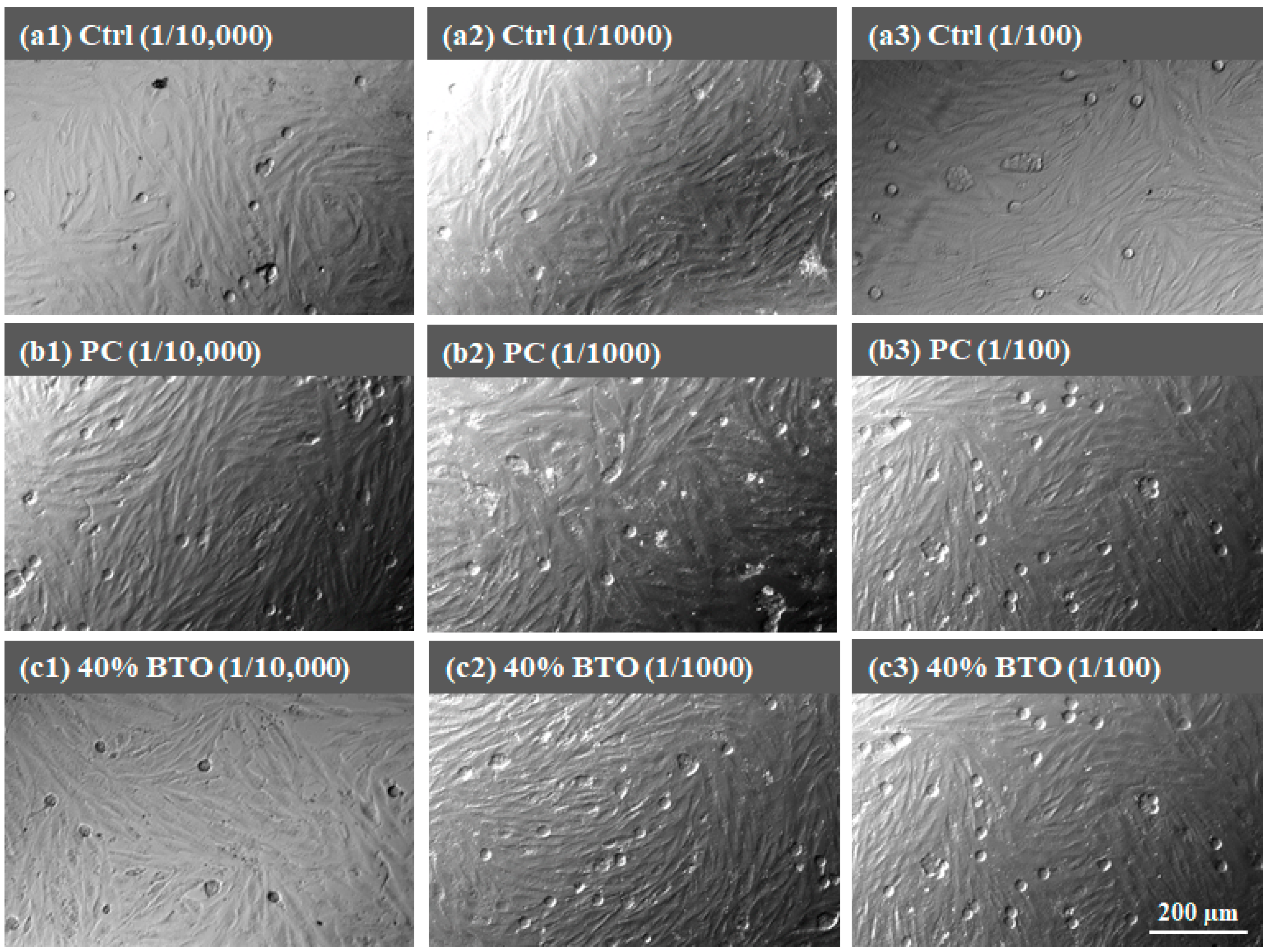 Materials 17 02701 g010