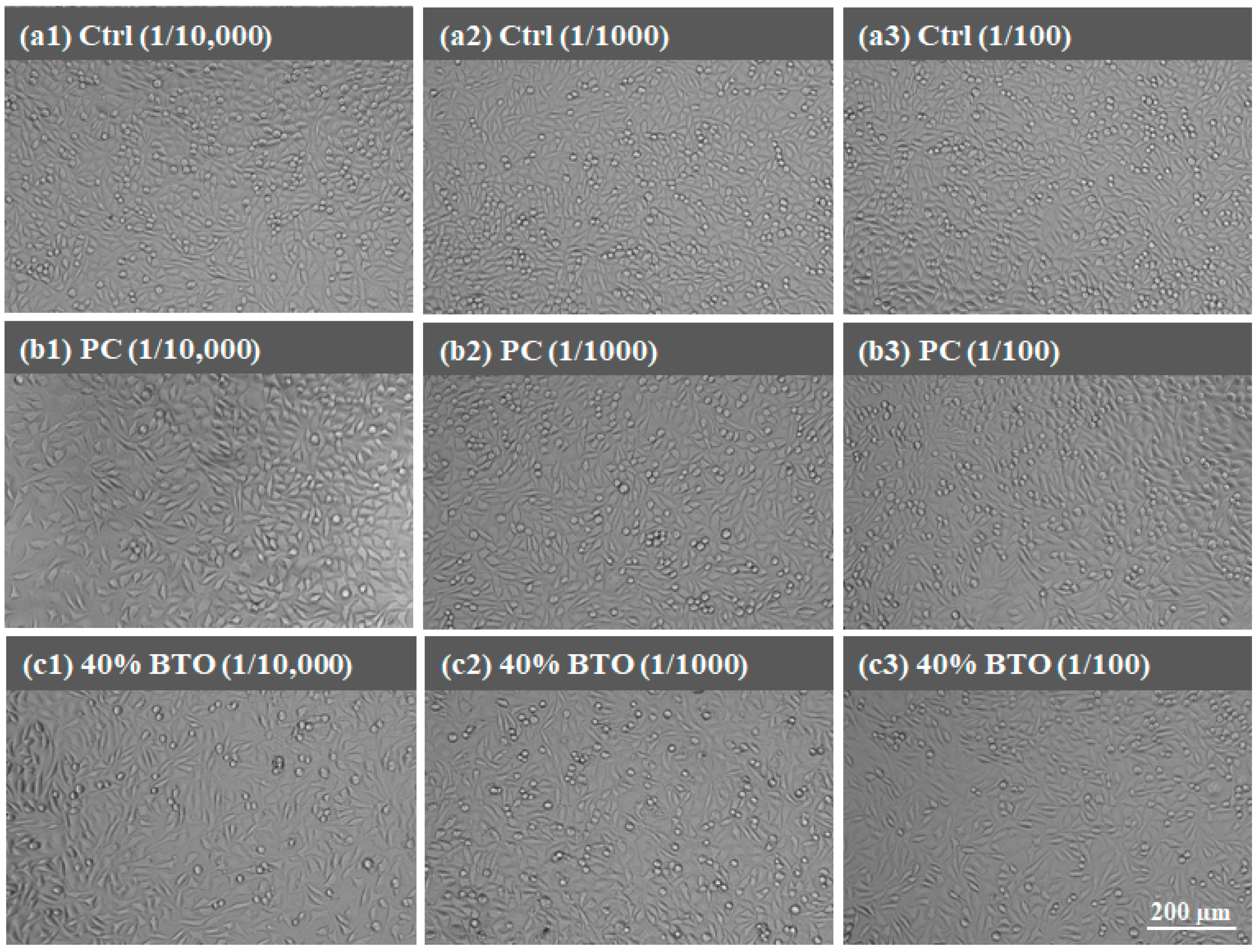 Materials 17 02701 g011