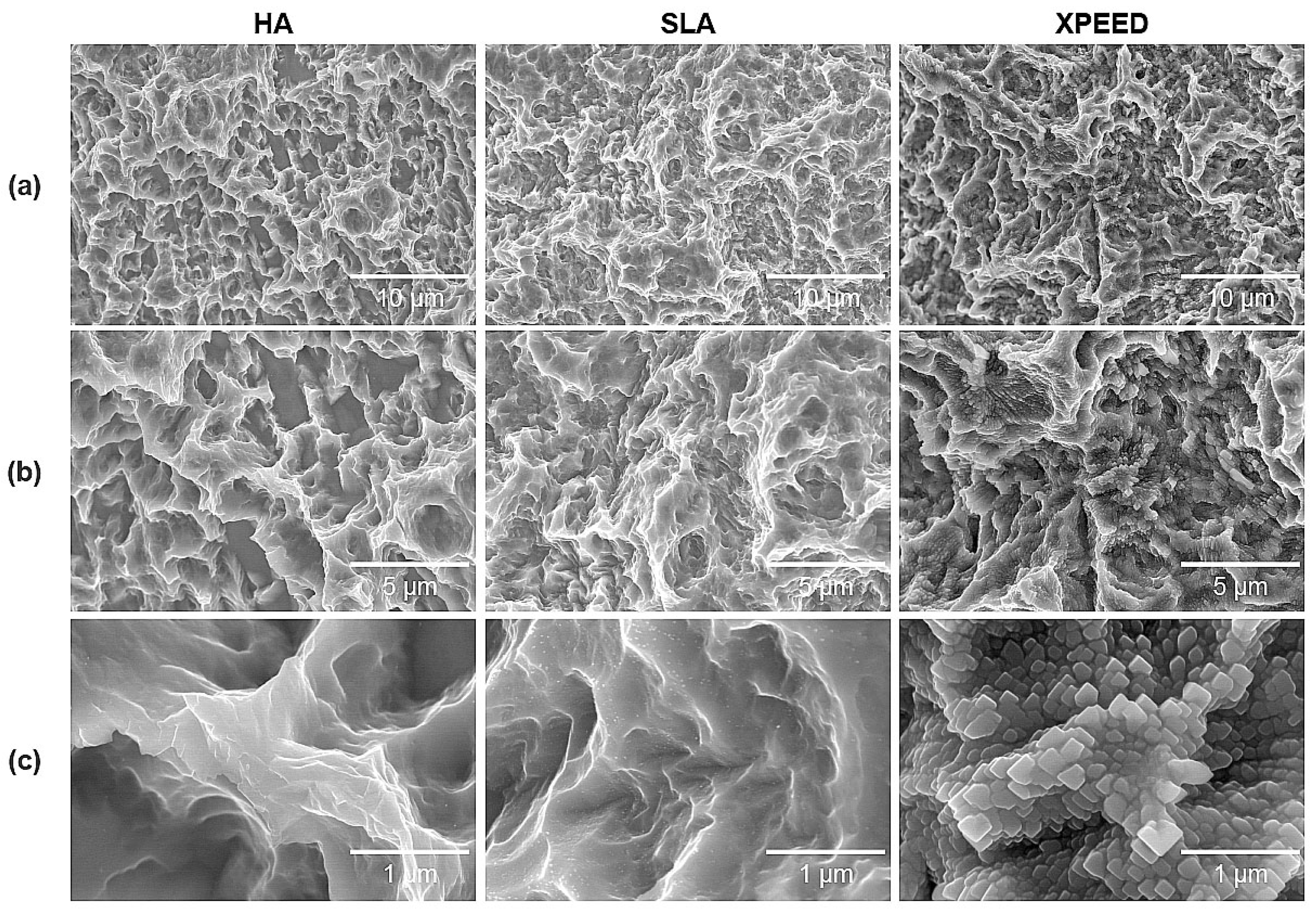 Materials 17 02707 g001