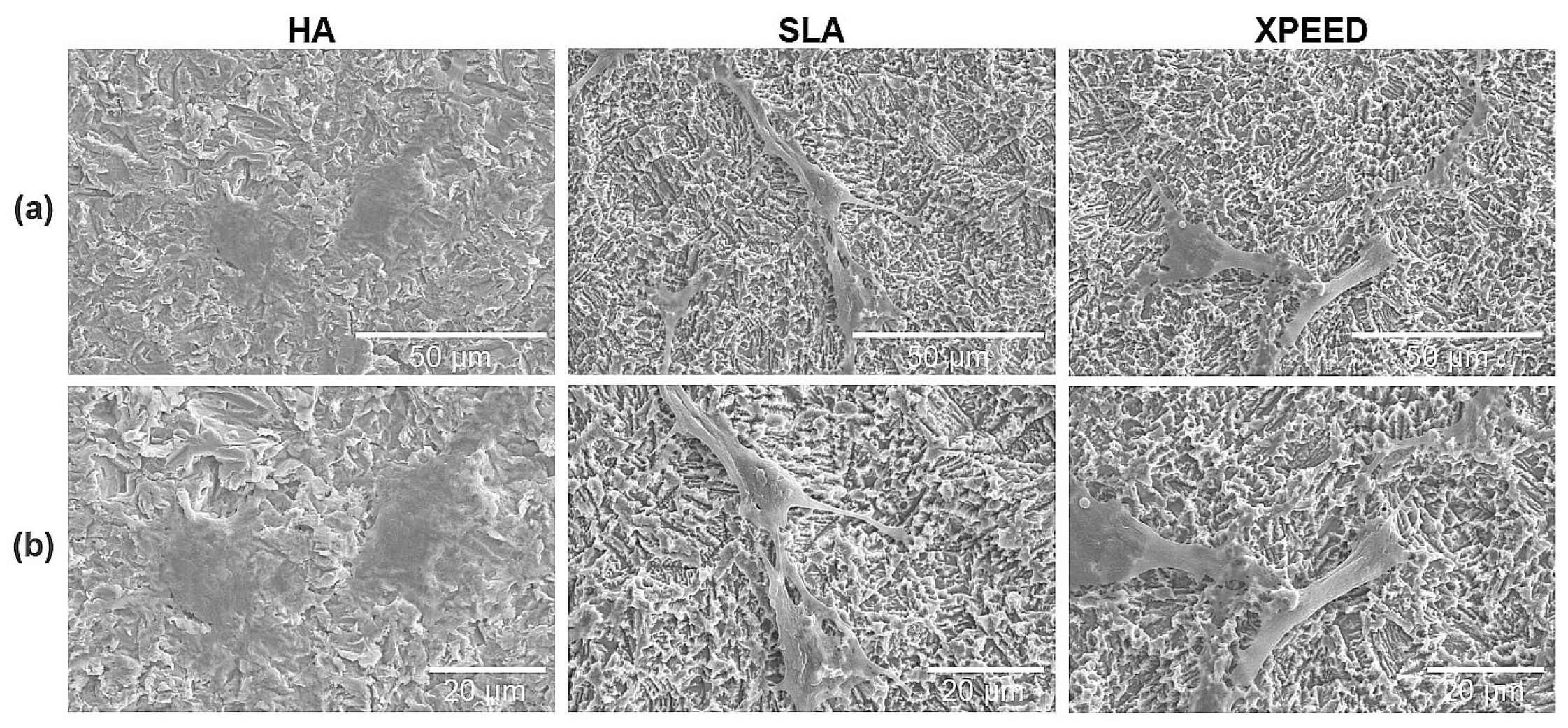 Materials 17 02707 g005