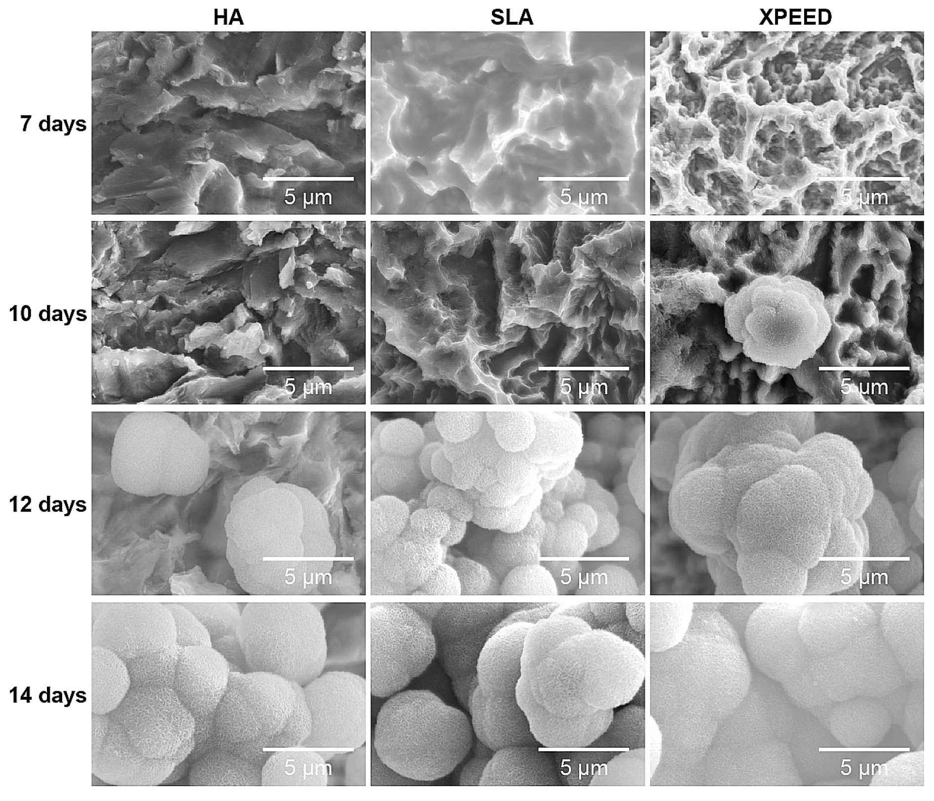 Materials 17 02707 g006