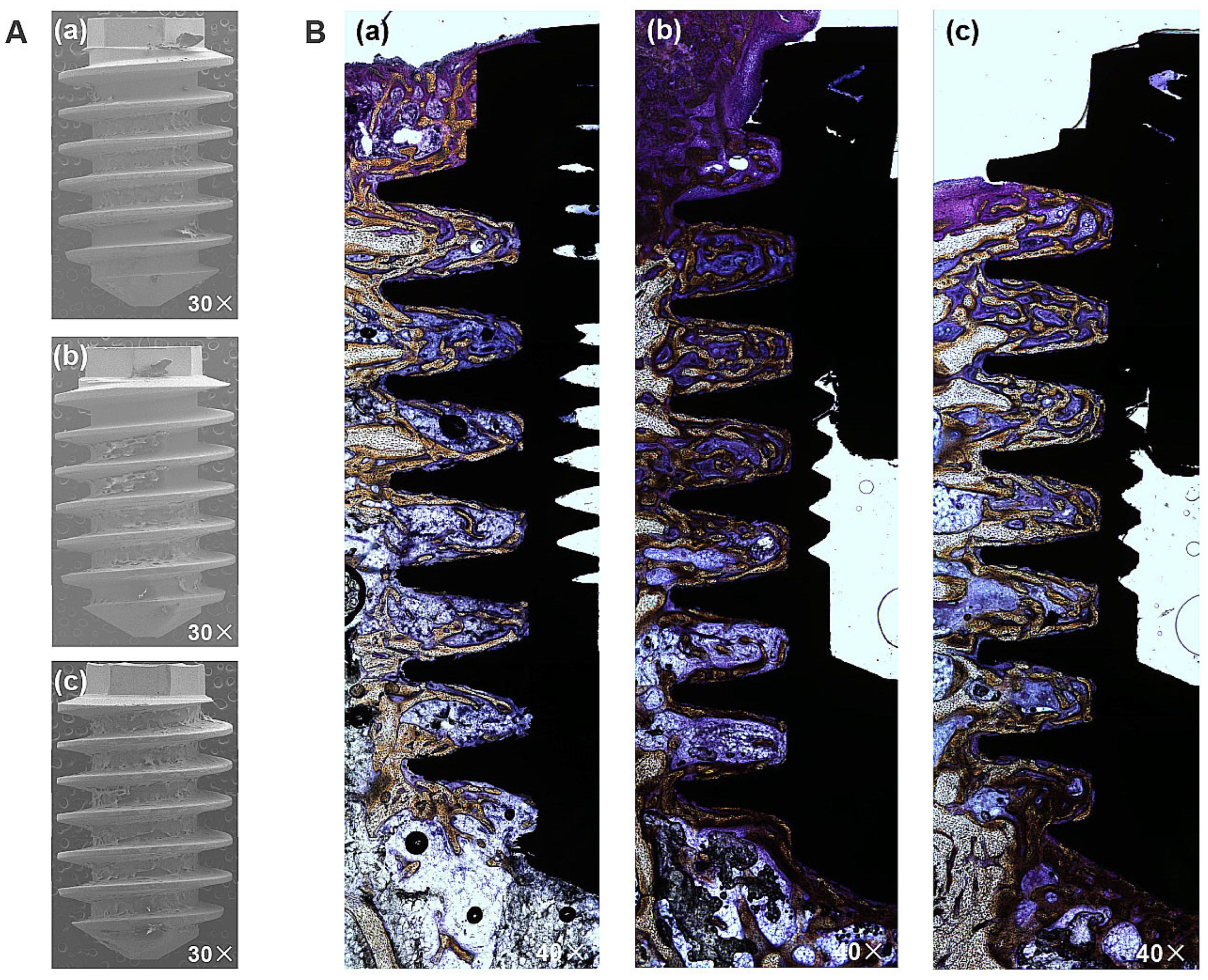Materials 17 02707 g008