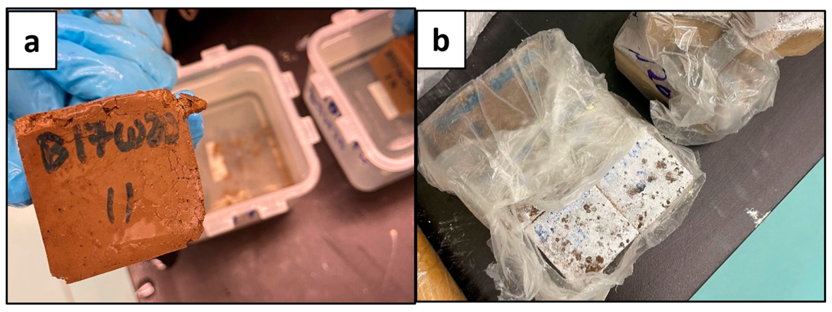 Materials 17 02710 g005