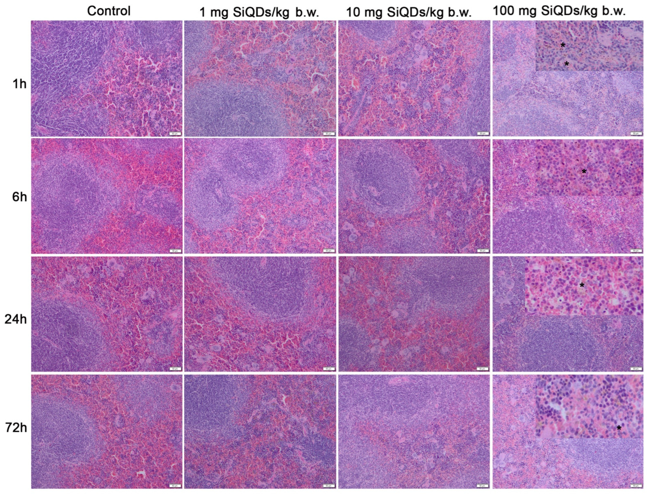 Materials 17 02778 g003